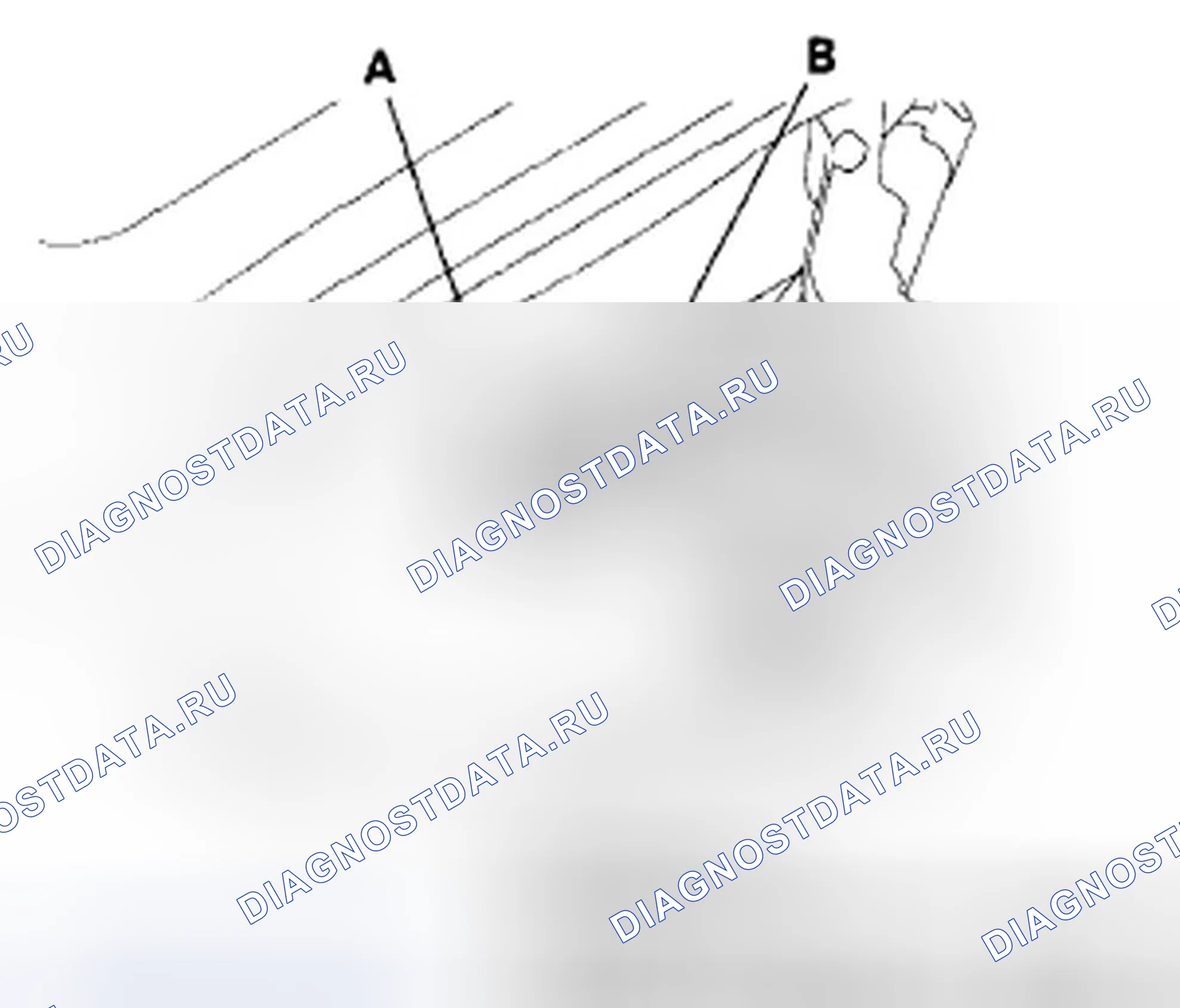 Рис. 65. Honda S2000 AP2 рестайлинг