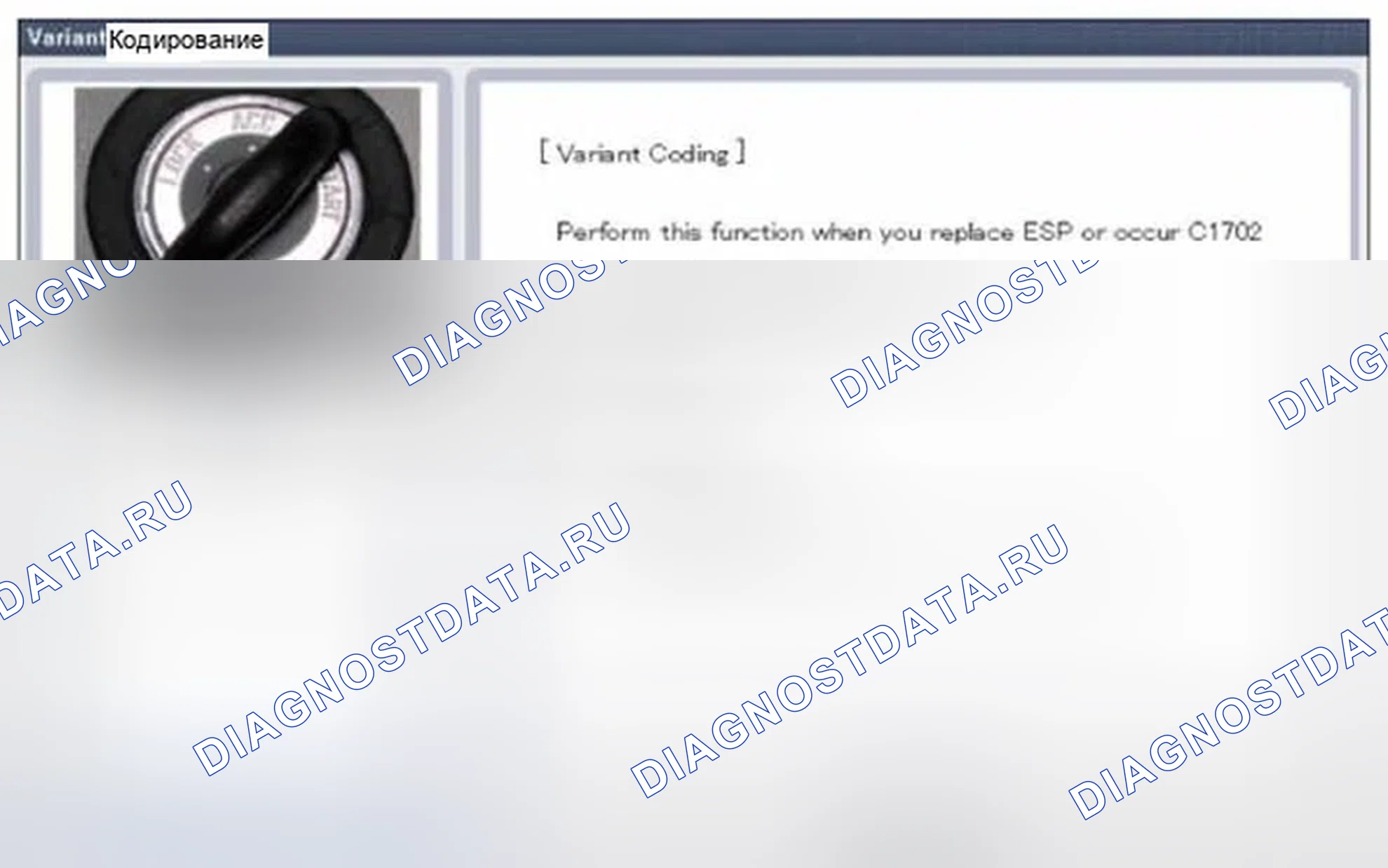 Рис. 161: Кодирование вариантов. Hyundai Equus II