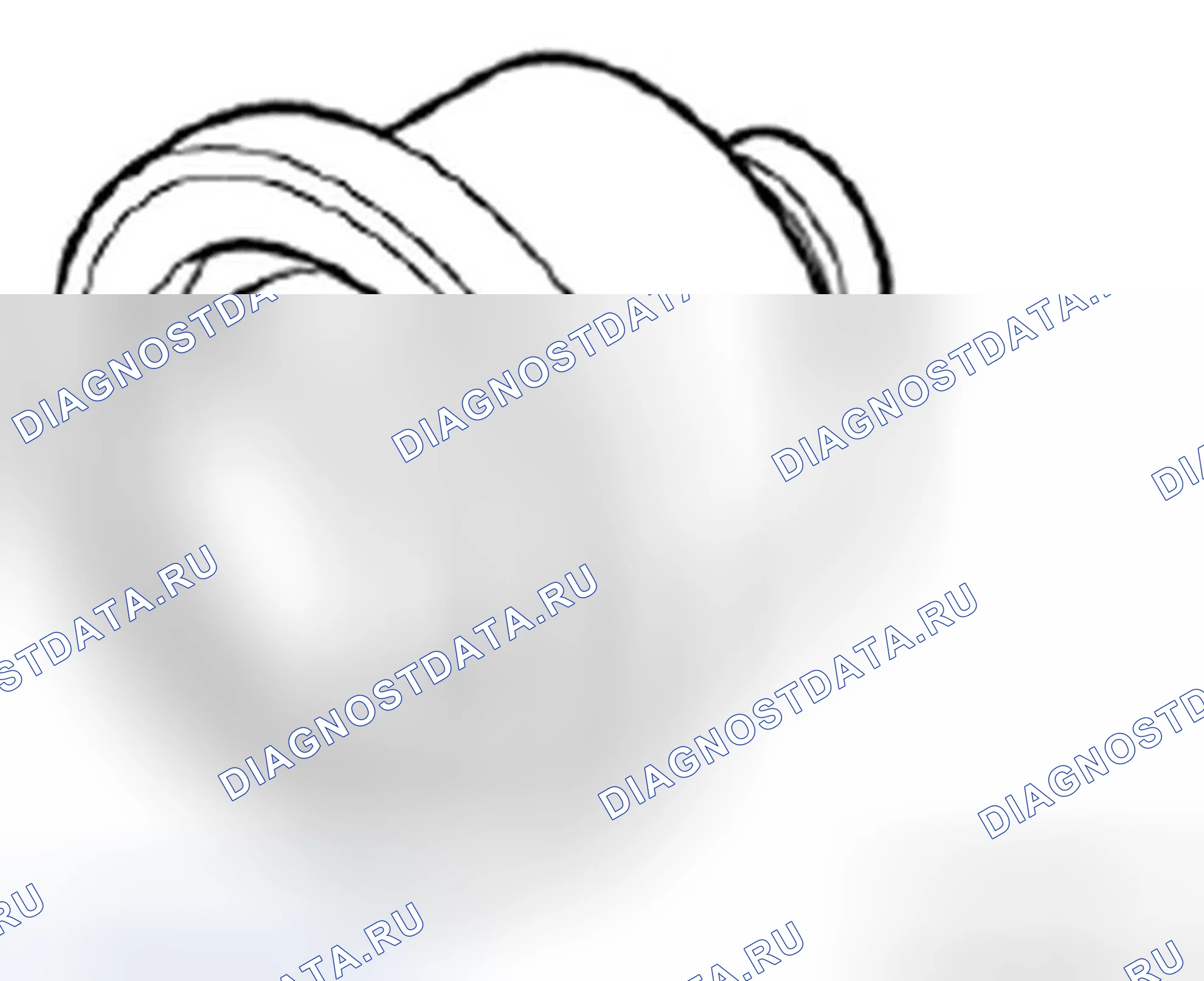 Рис. 267: 33 3 470 Дрейф. BMW M3 E90