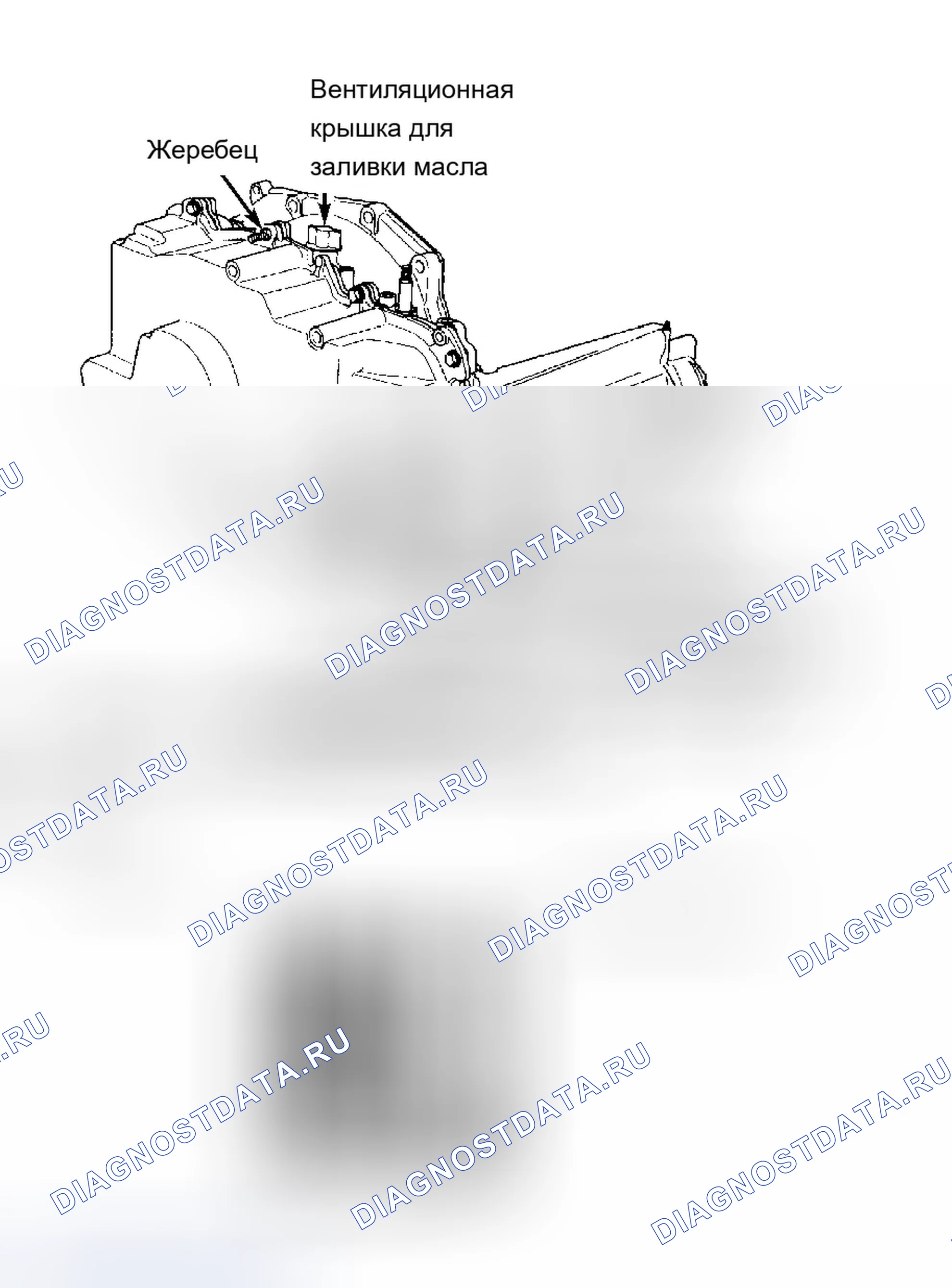 Рис. 35: ИДЕНТИФИКАЦИЯ. Chevrolet Malibu V