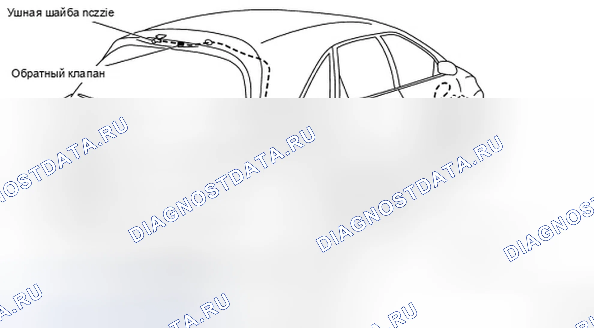 Рис. 18: Расположение трубок промывного аппарата. Infiniti FX35 I рестайлинг