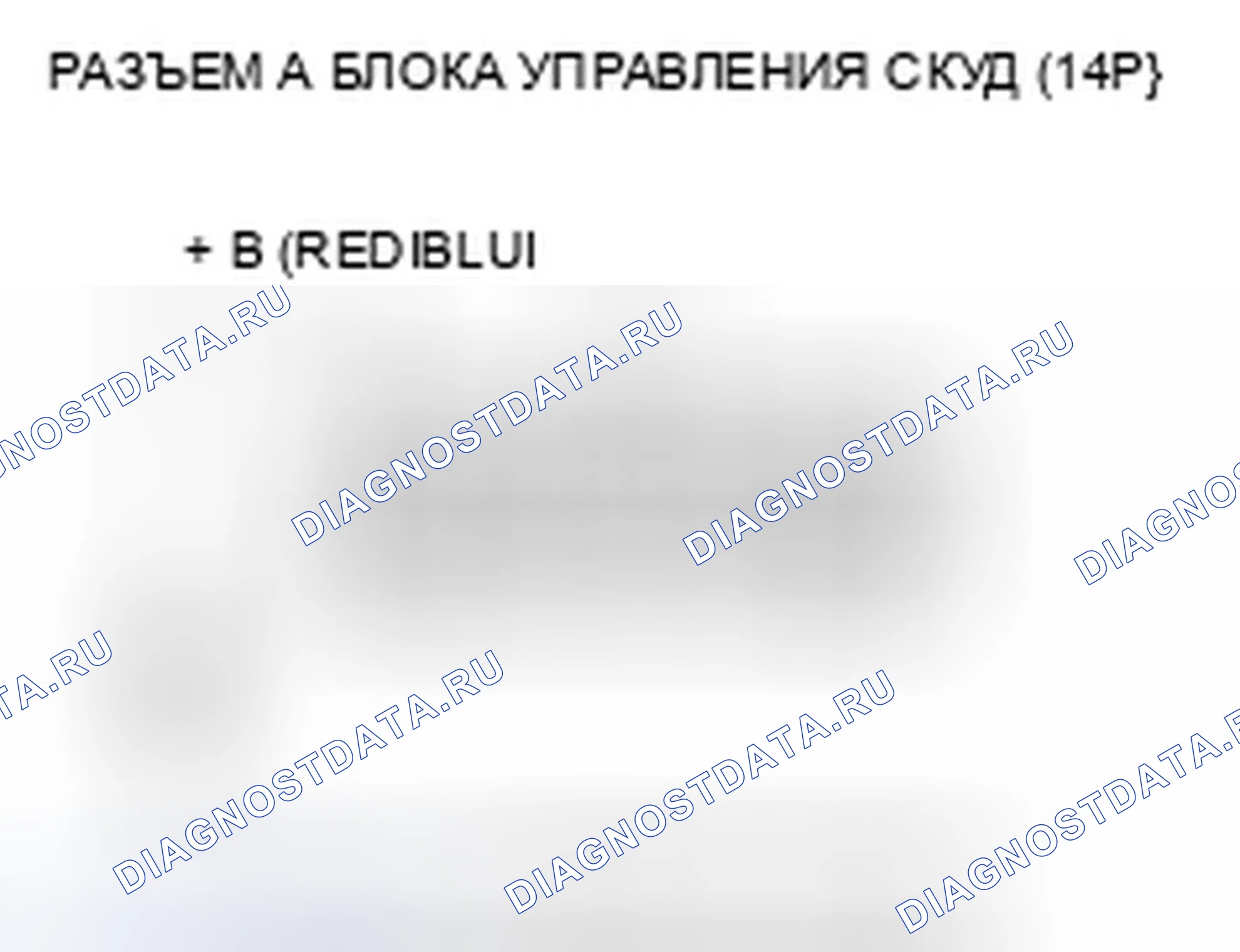 Рис. 26: Индикатор TPMS не гаснет, и коды неисправностей не сохраняются. Honda Element YH2 рестайлинг 2