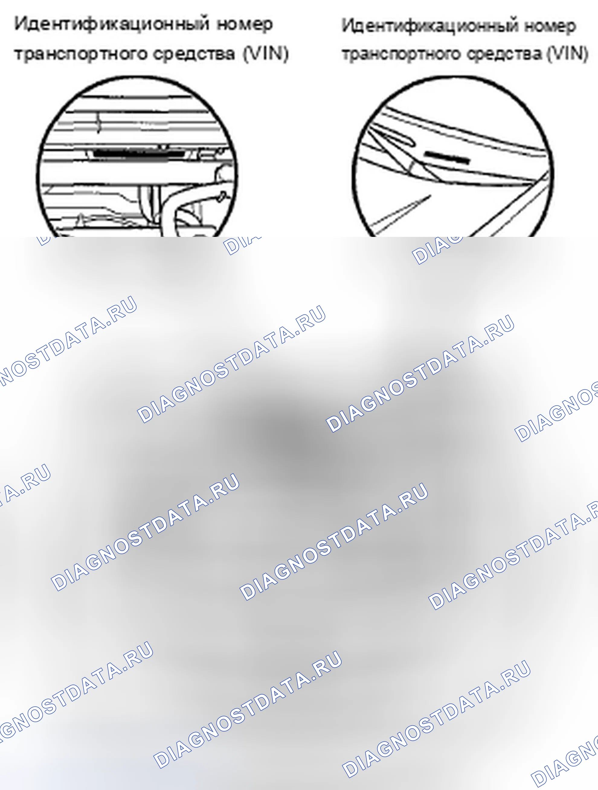 Рис. 32: Расположение идентификационных номеров. Acura TSX II