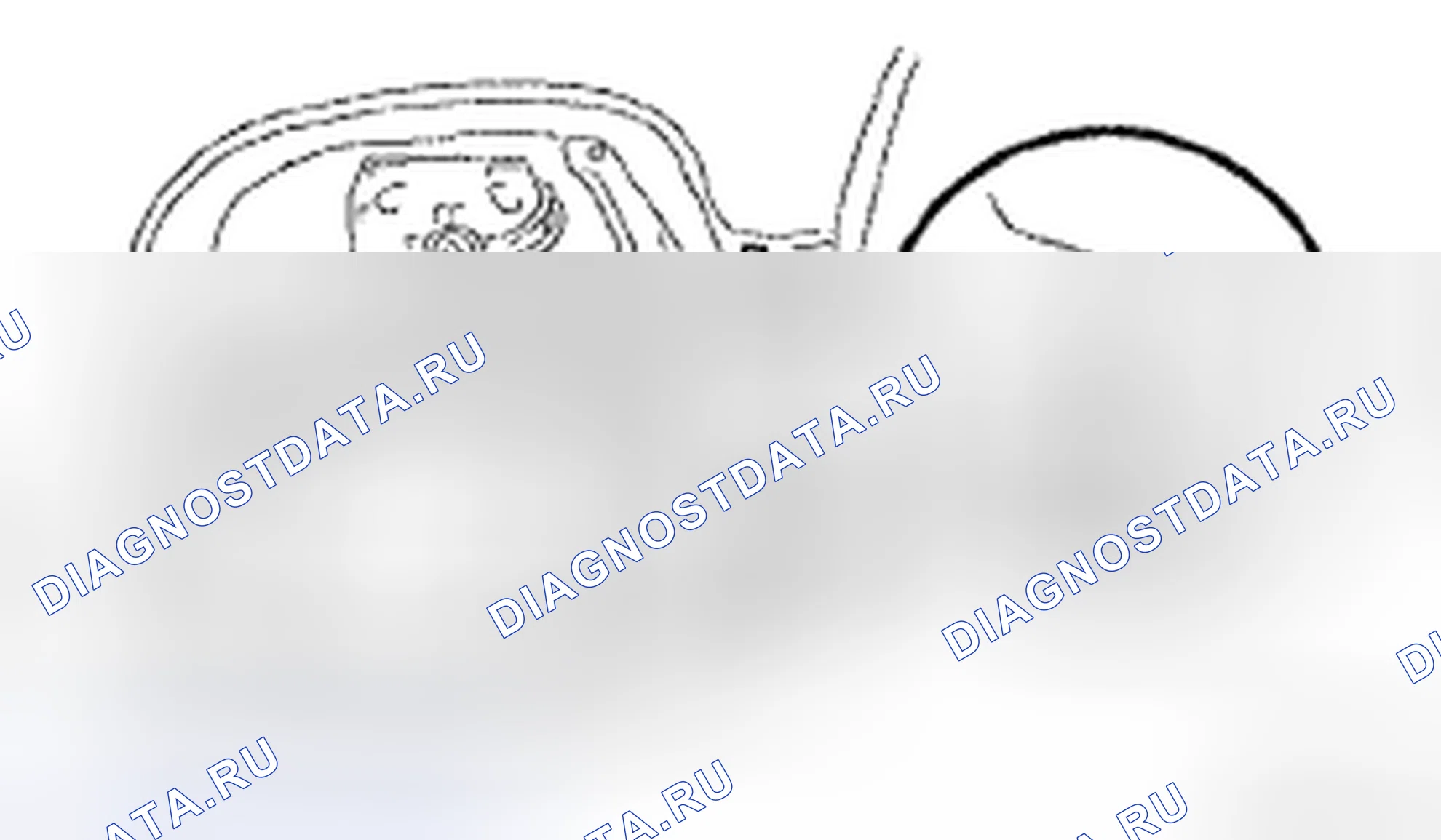 Рис. 36. Honda CR-V VI
