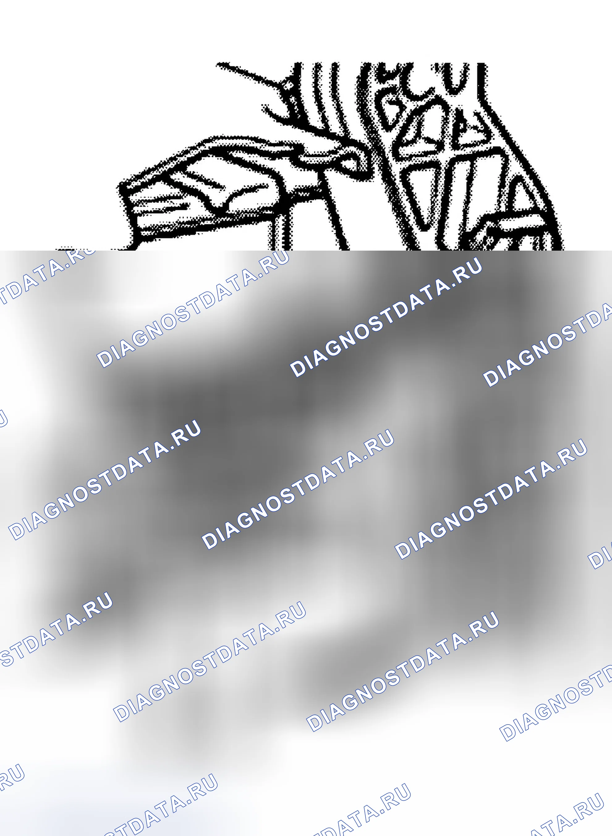 Рис. 101: Установка. Audi TT 8N