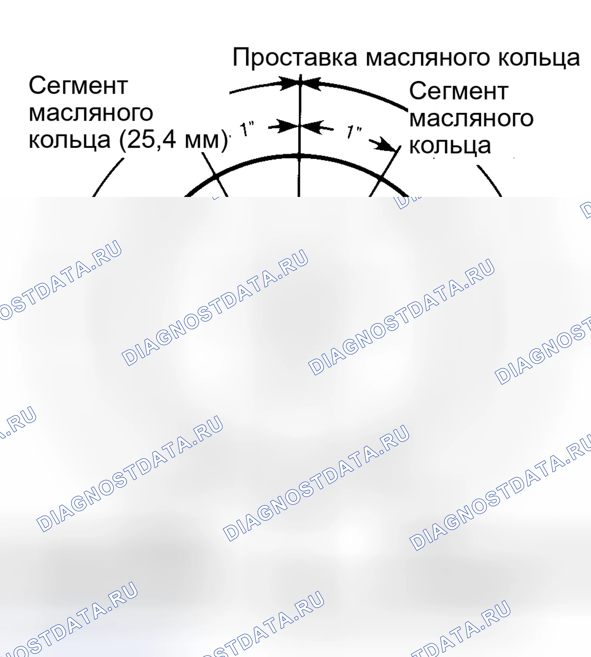 Рис. 32: Поршневые кольца. Ford Mustang IV