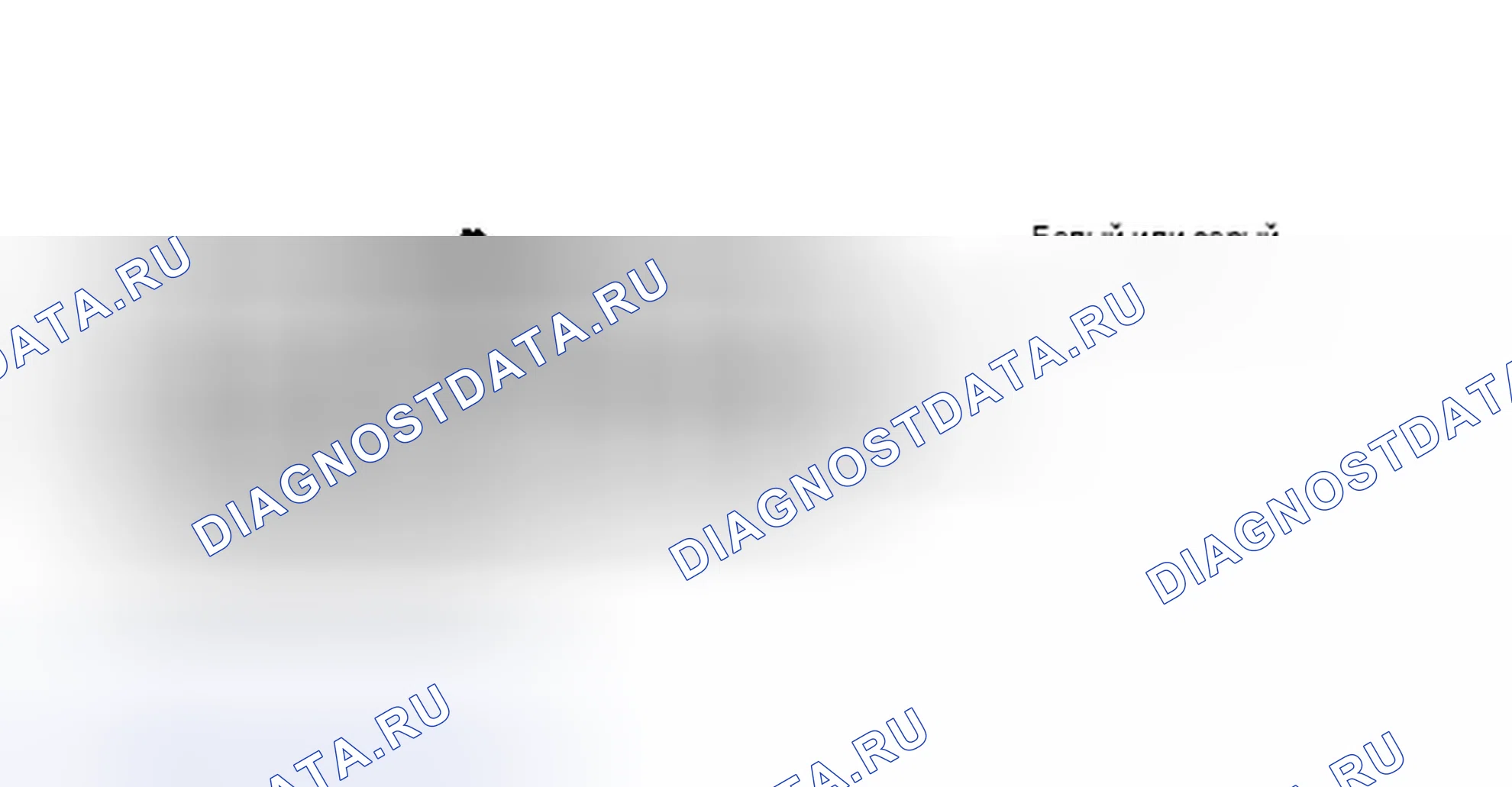 Рис. 2. Hyundai Porter II