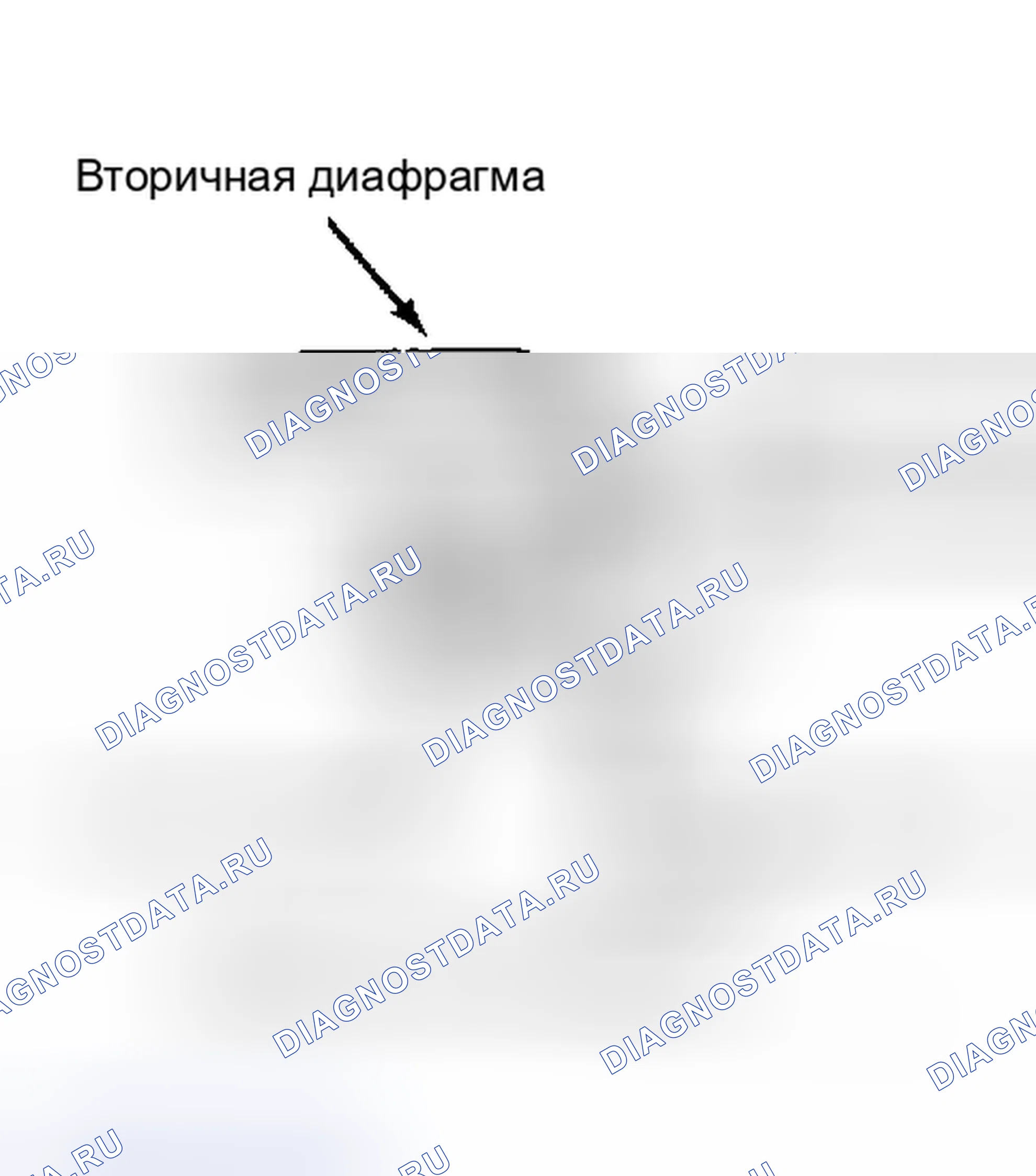 Рис. 43: Регулировка вторичного дроссельного зазора. Nissan Sentra B11