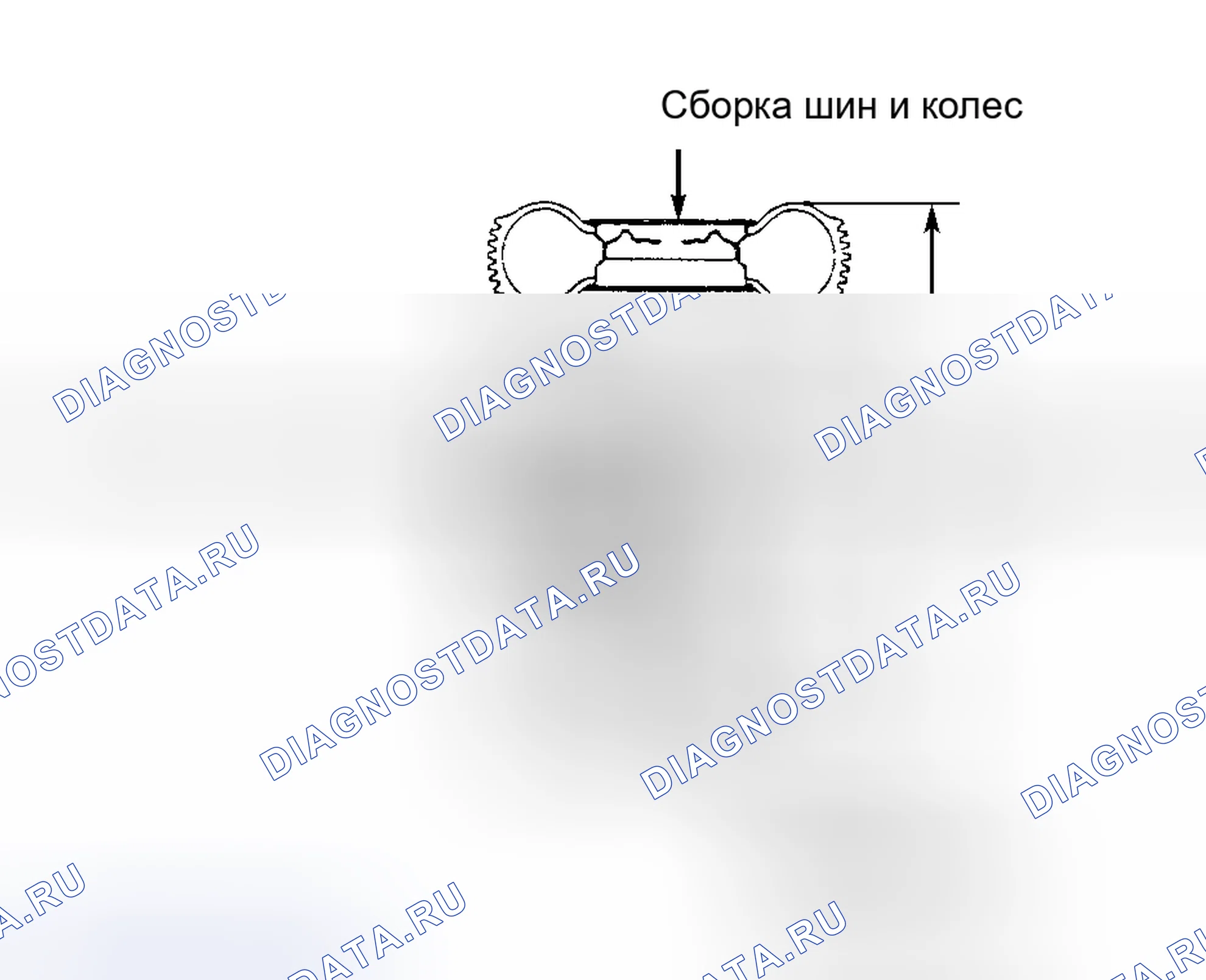 Рис. 15. Toyota Camry Solara I