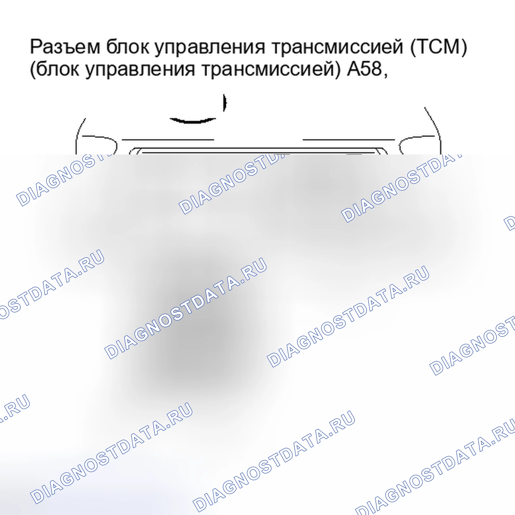 Рис. 408. Lexus IS F I
