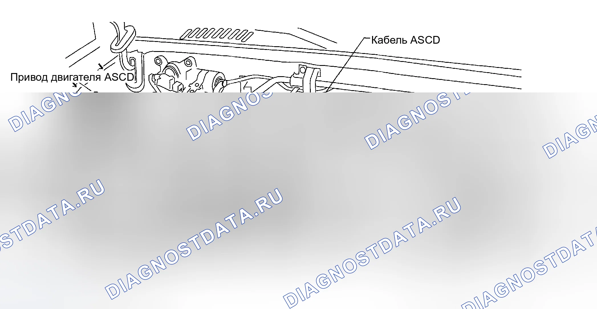 Рис. 31: С VG33E. Honda Odyssey (North America) I