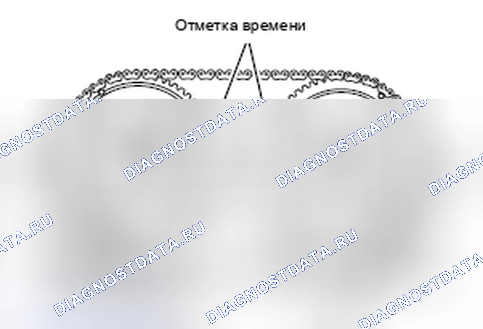 Рис. 1. Honda e:NP1 I