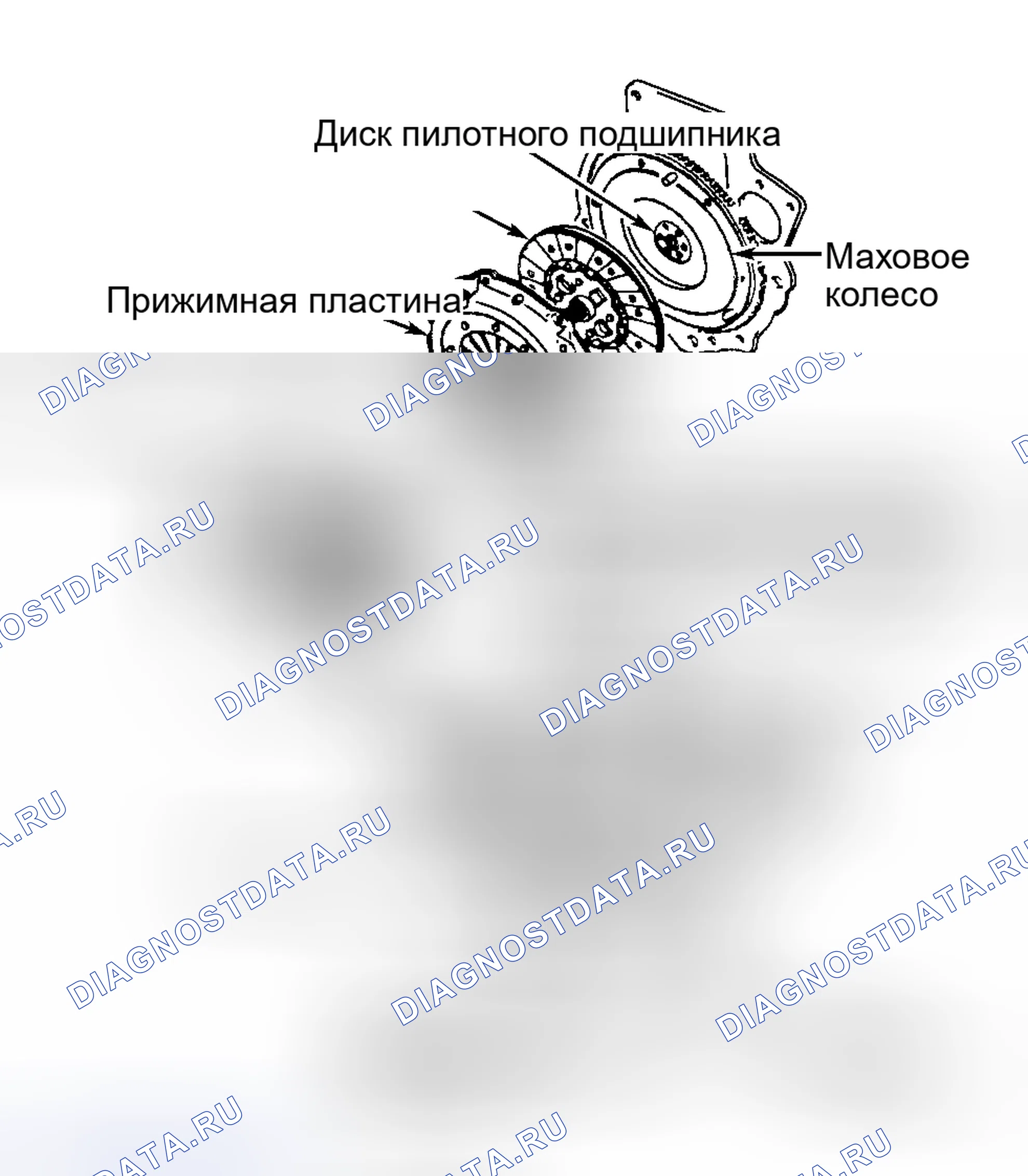 Рис. 4. Ford Focus I рестайлинг