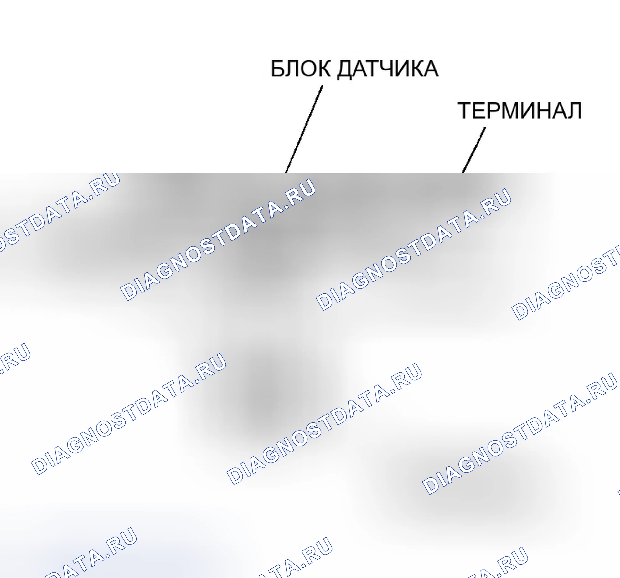 Рис. 36: Датчик давления в топливном баке (FTP). Honda S2000 I