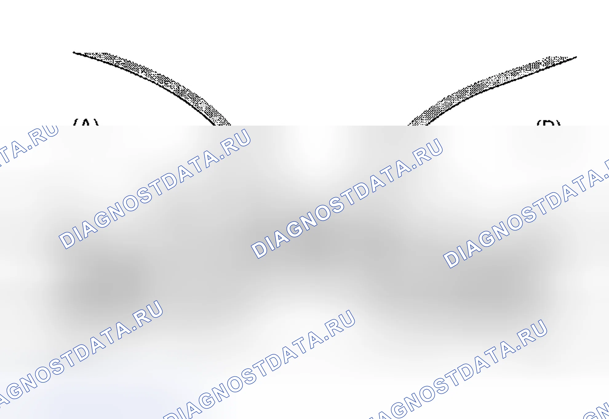 Рис. 452: СЕДЛО КЛАПАНА. Subaru Impreza GD/GC/GG рестайлинг