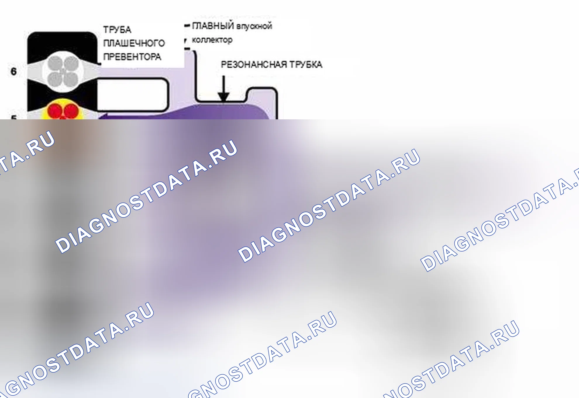 Рис. 1320. BMW X5 E53 рестайлинг