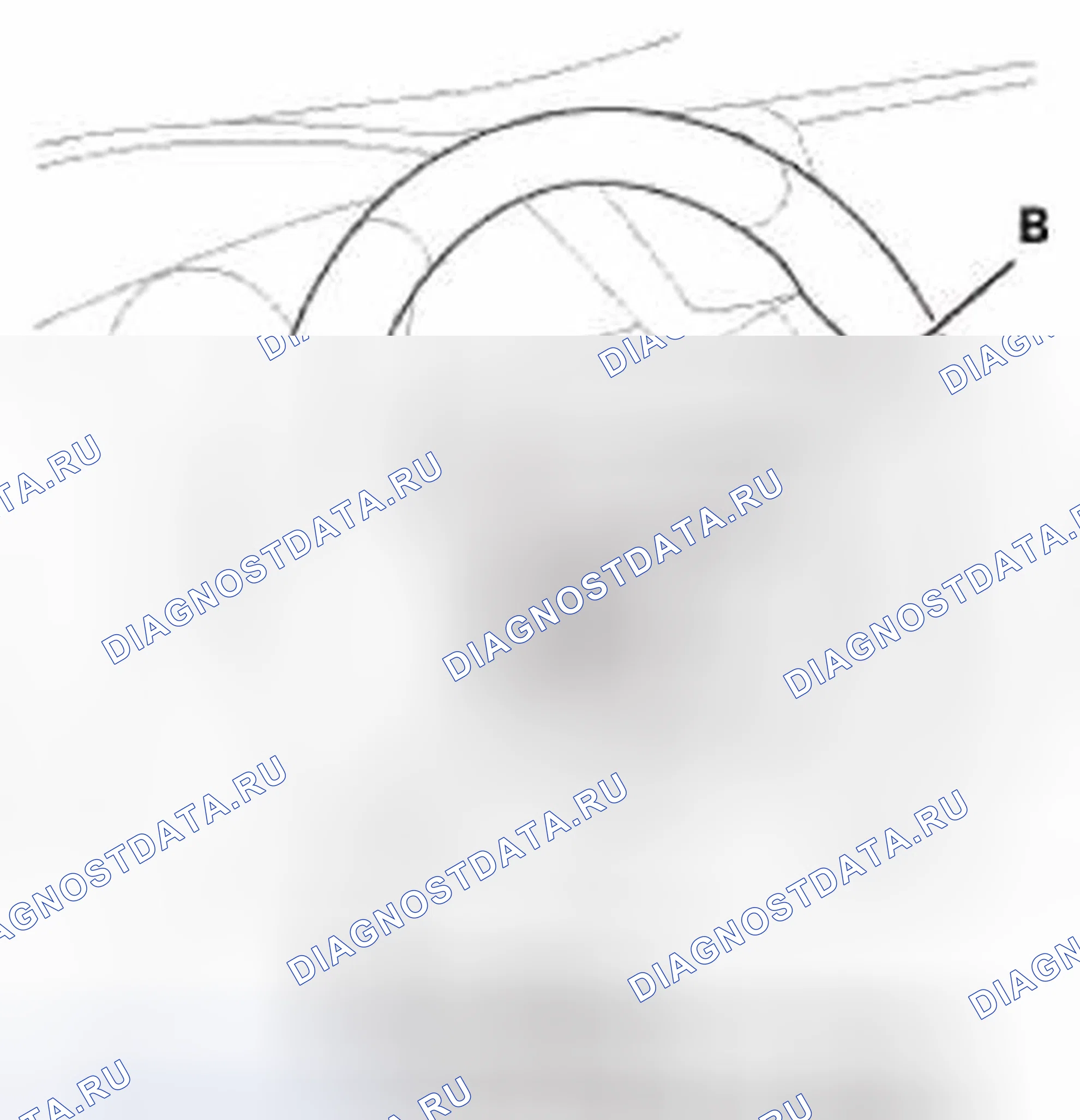 Рис. 222. Honda Civic IX