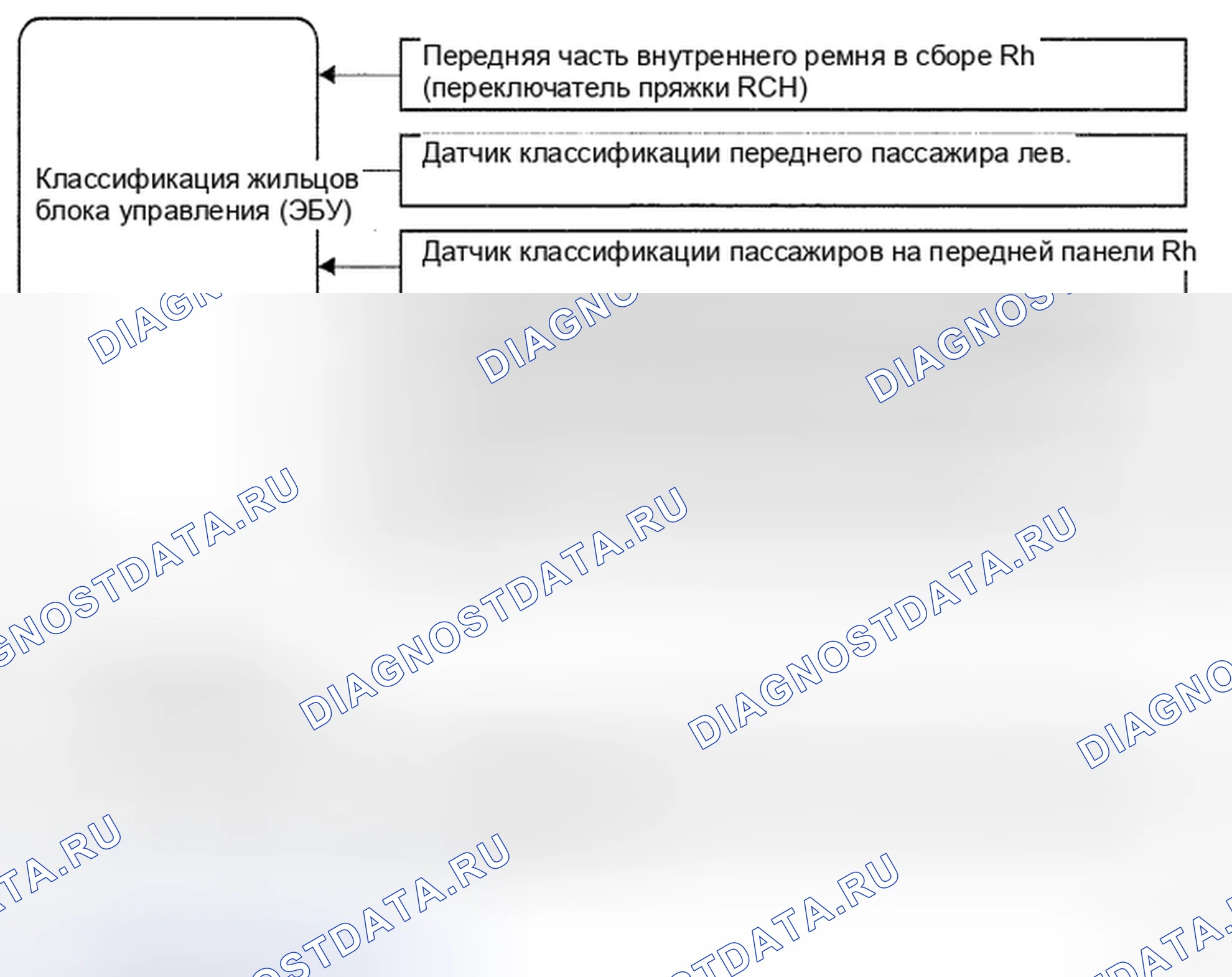 Рис. 225: Классификация пассажиров - схема системы. Toyota Prius II рестайлинг
