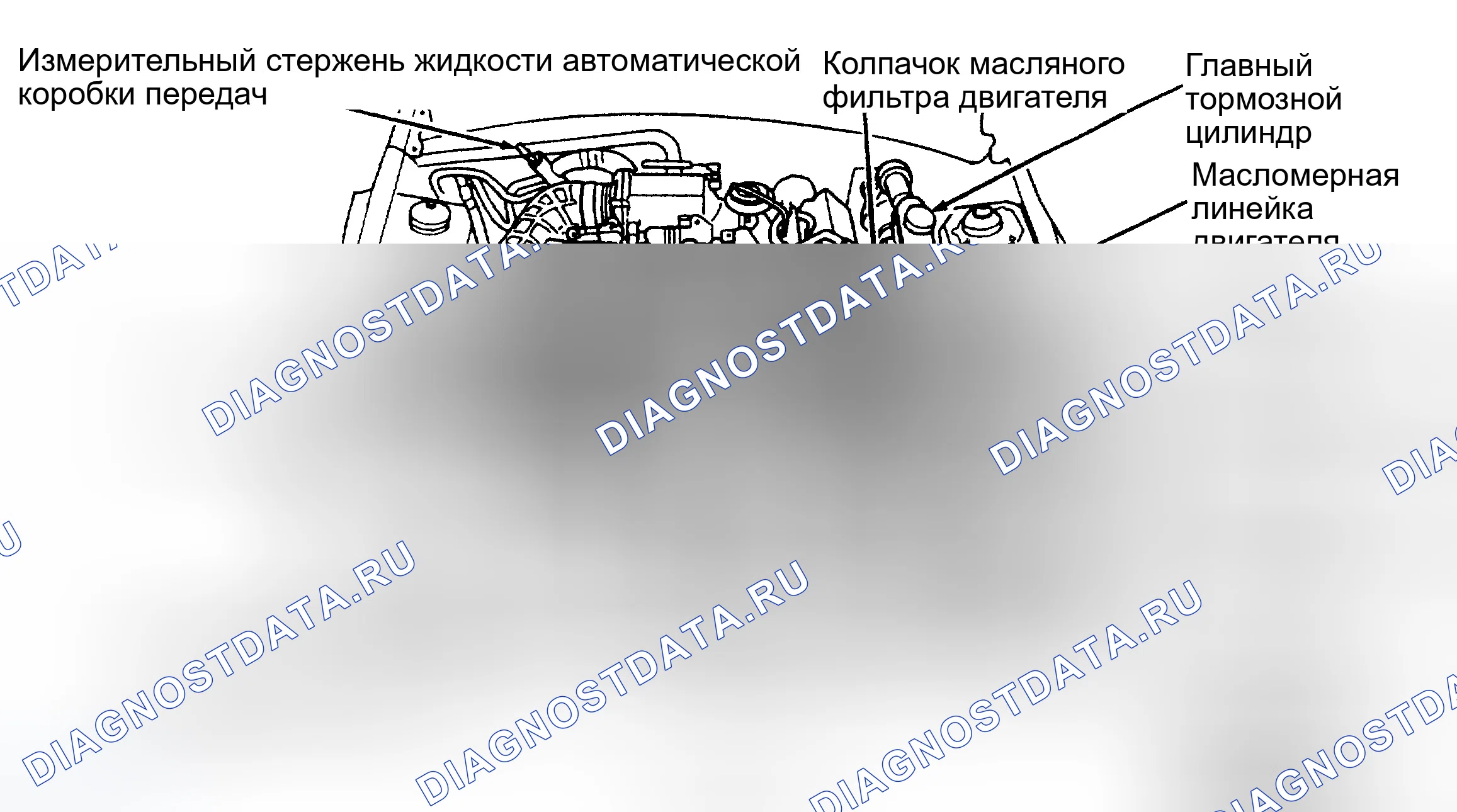 Рис. 5. Ford Mustang IV