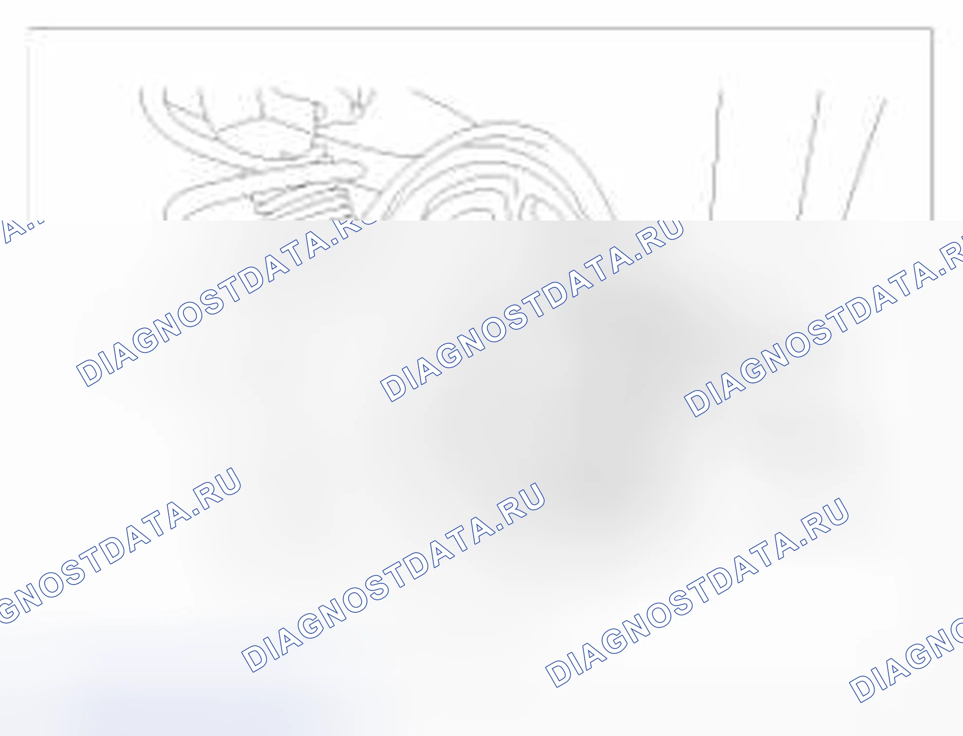 Рис. 32. BMW 6 серия F06/F13/F12