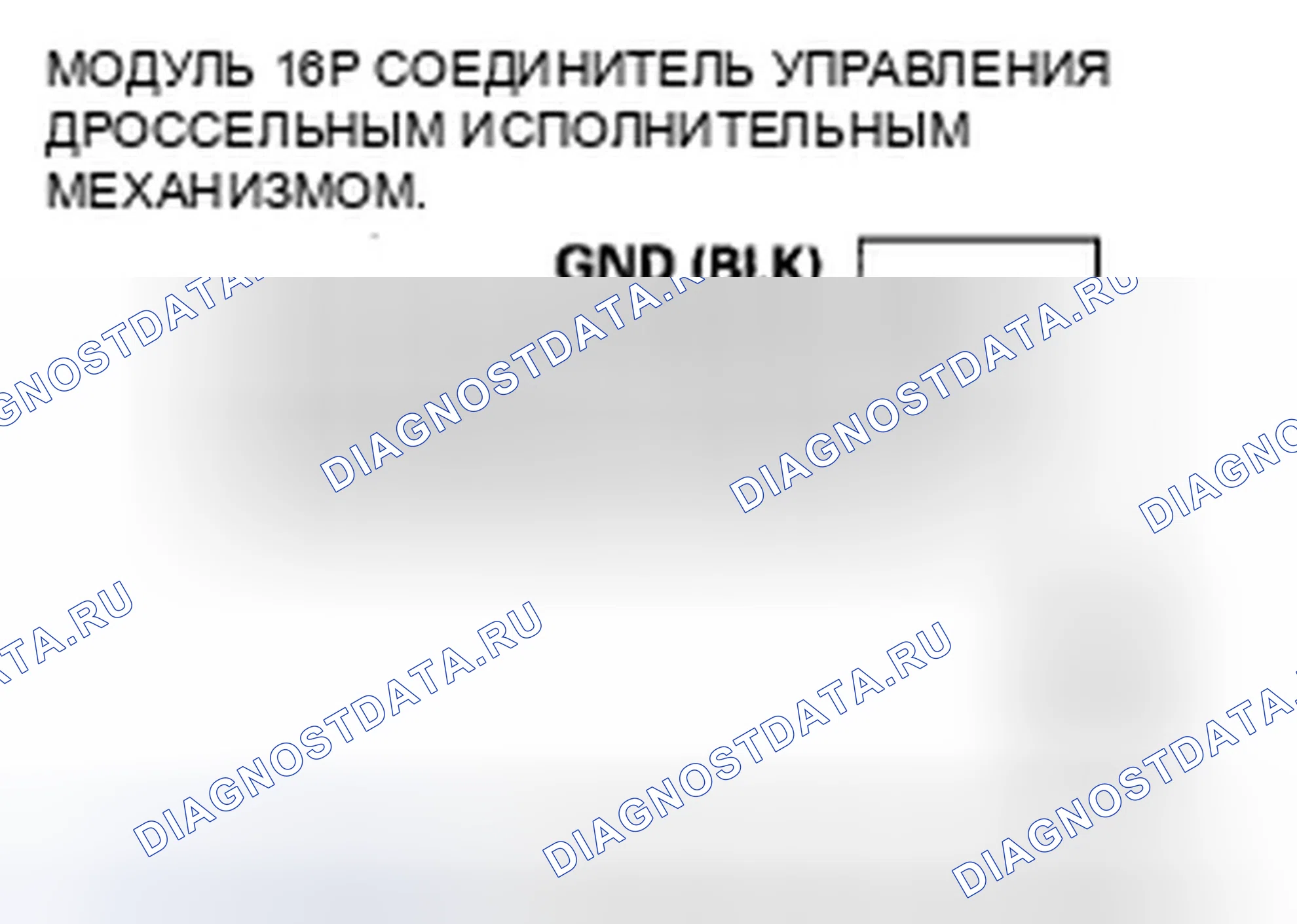Рис. 337. Honda Element YH2 рестайлинг