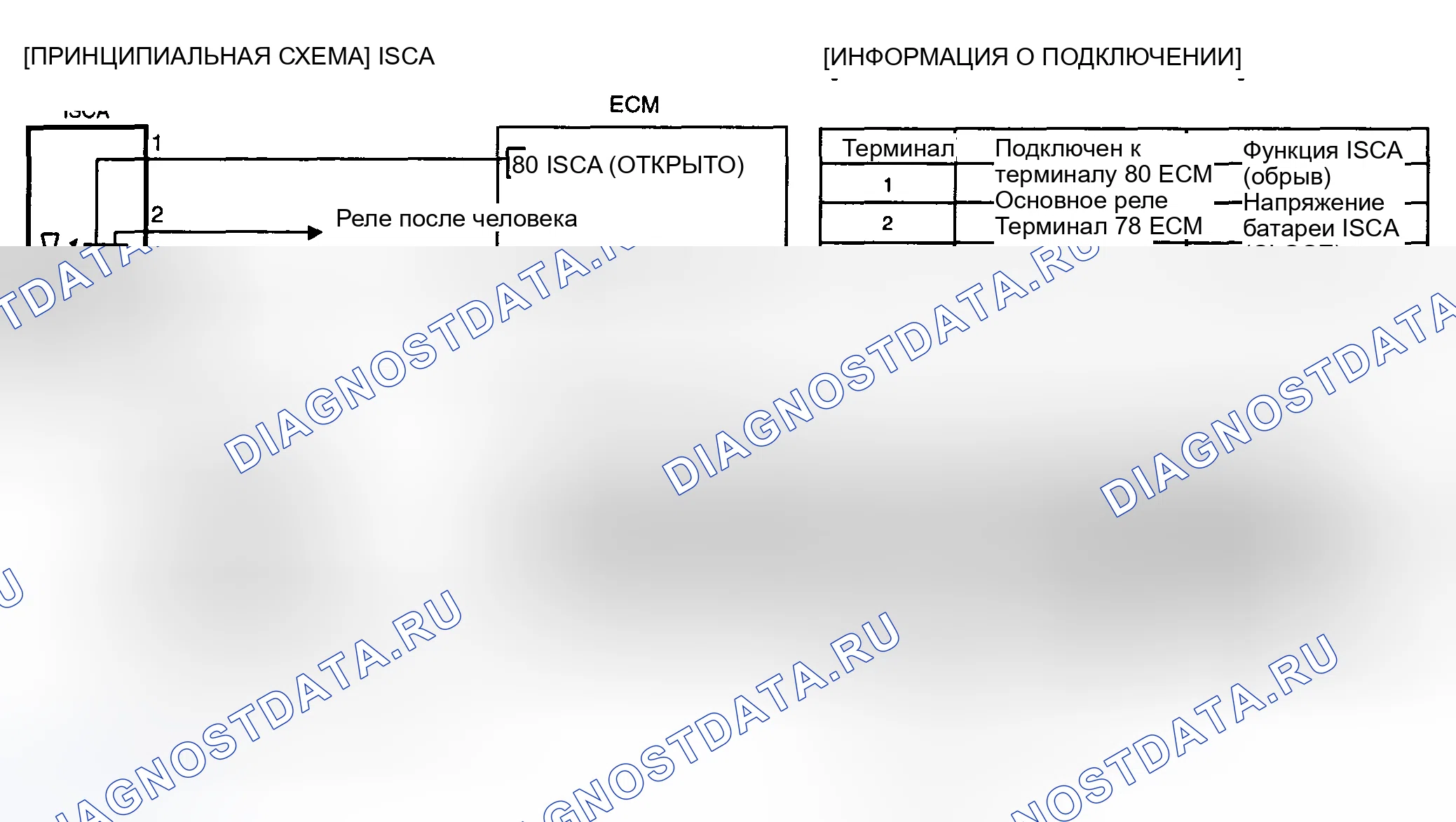 Рис. 257: ПРИНЦИПИАЛЬНАЯ СХЕМА. Haval Chitu I