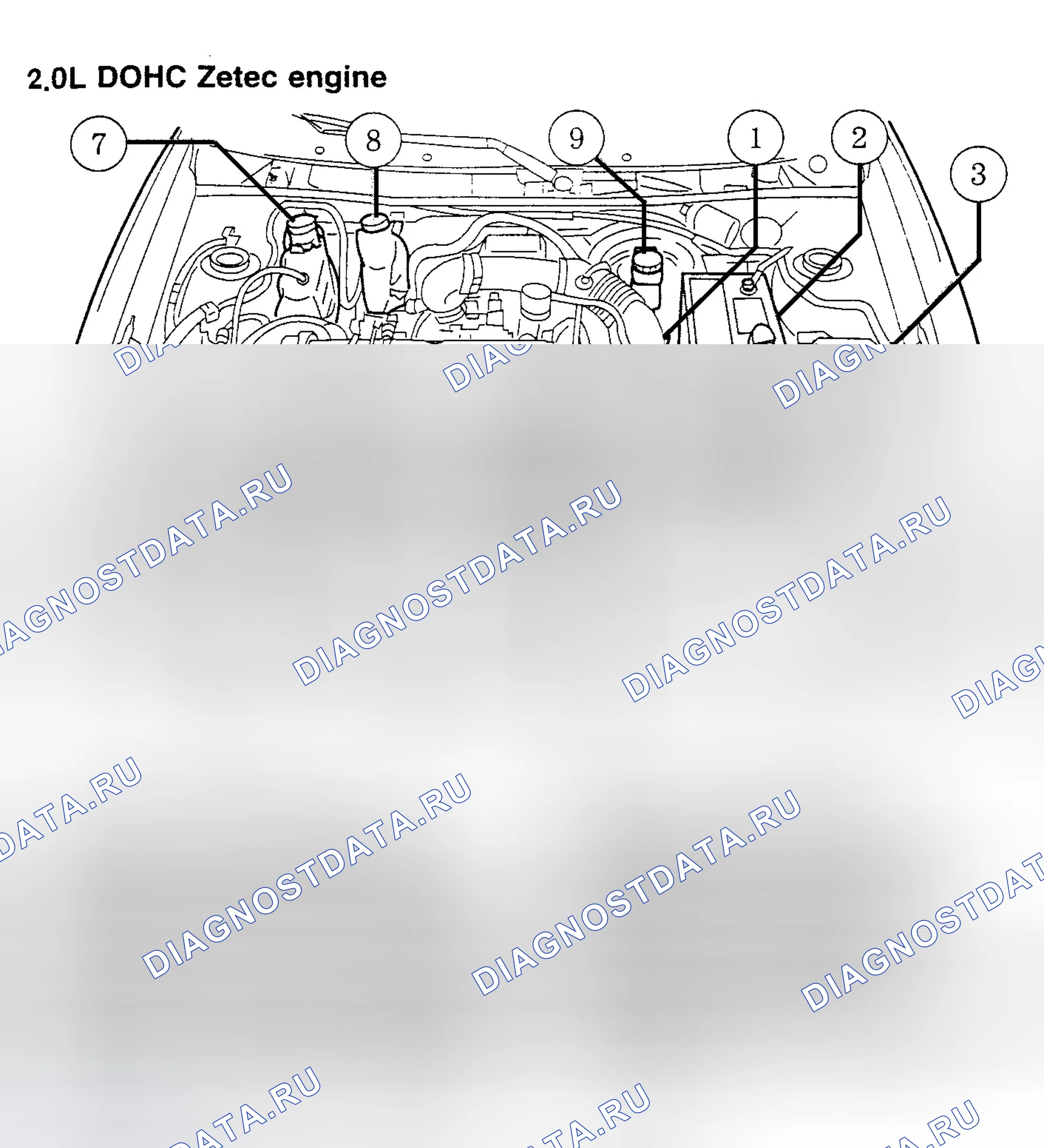 Рис. 7. Ford Escort ZX2 