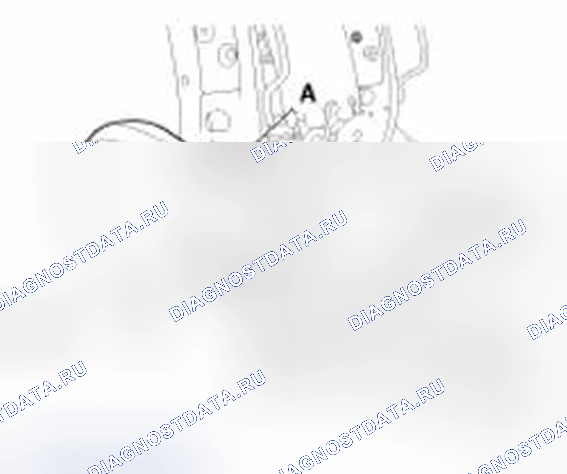 Рис. 18. Hyundai Veloster I
