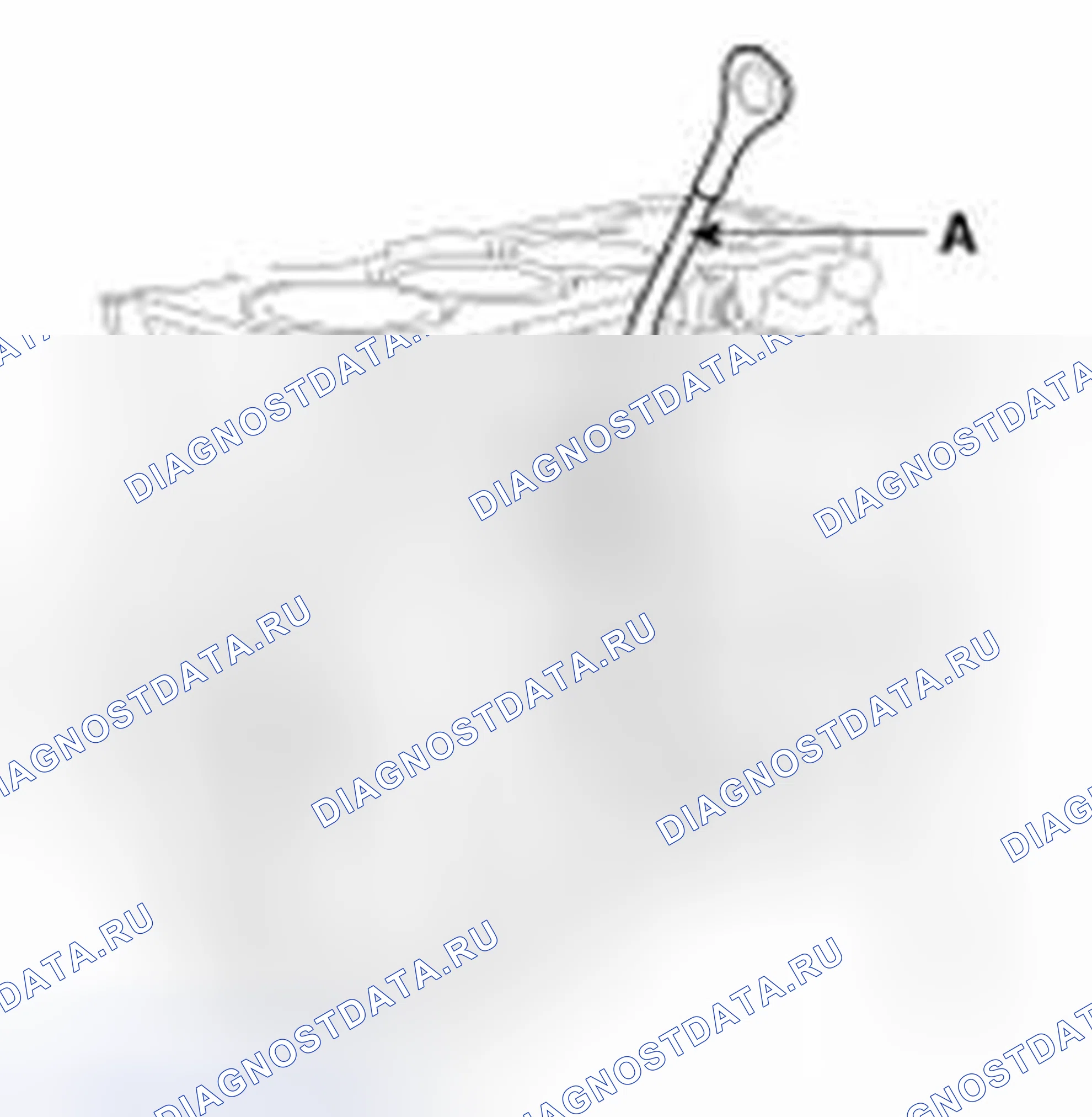 Рис. 281. Haval Beast (Shenshou) I