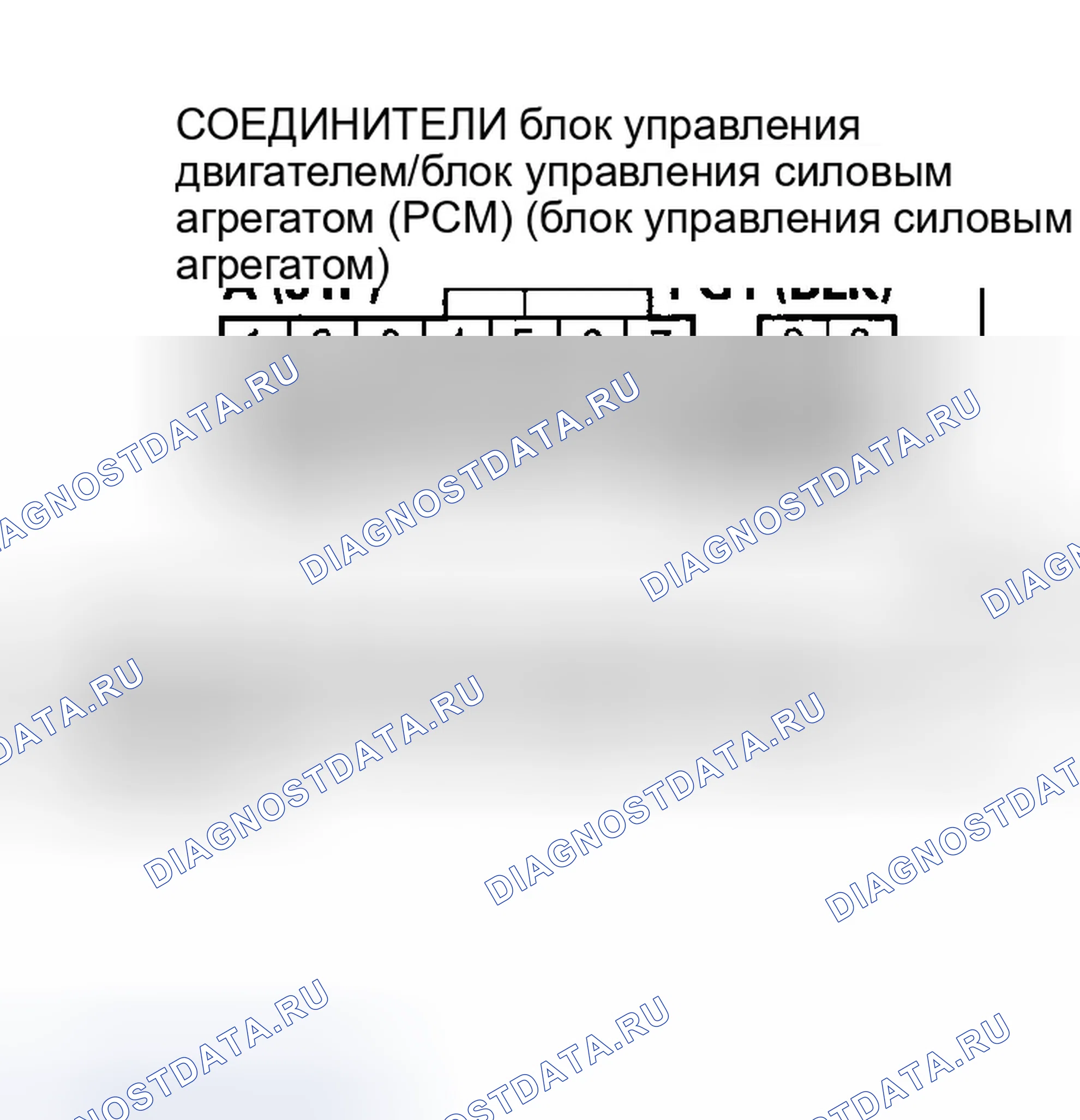 Рис. 115. Honda Element YH2
