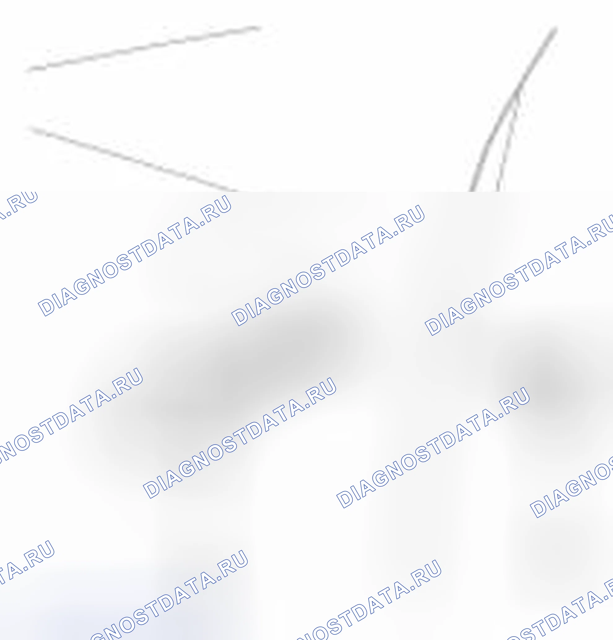 Рис. 46. Haval Beast (Shenshou) I