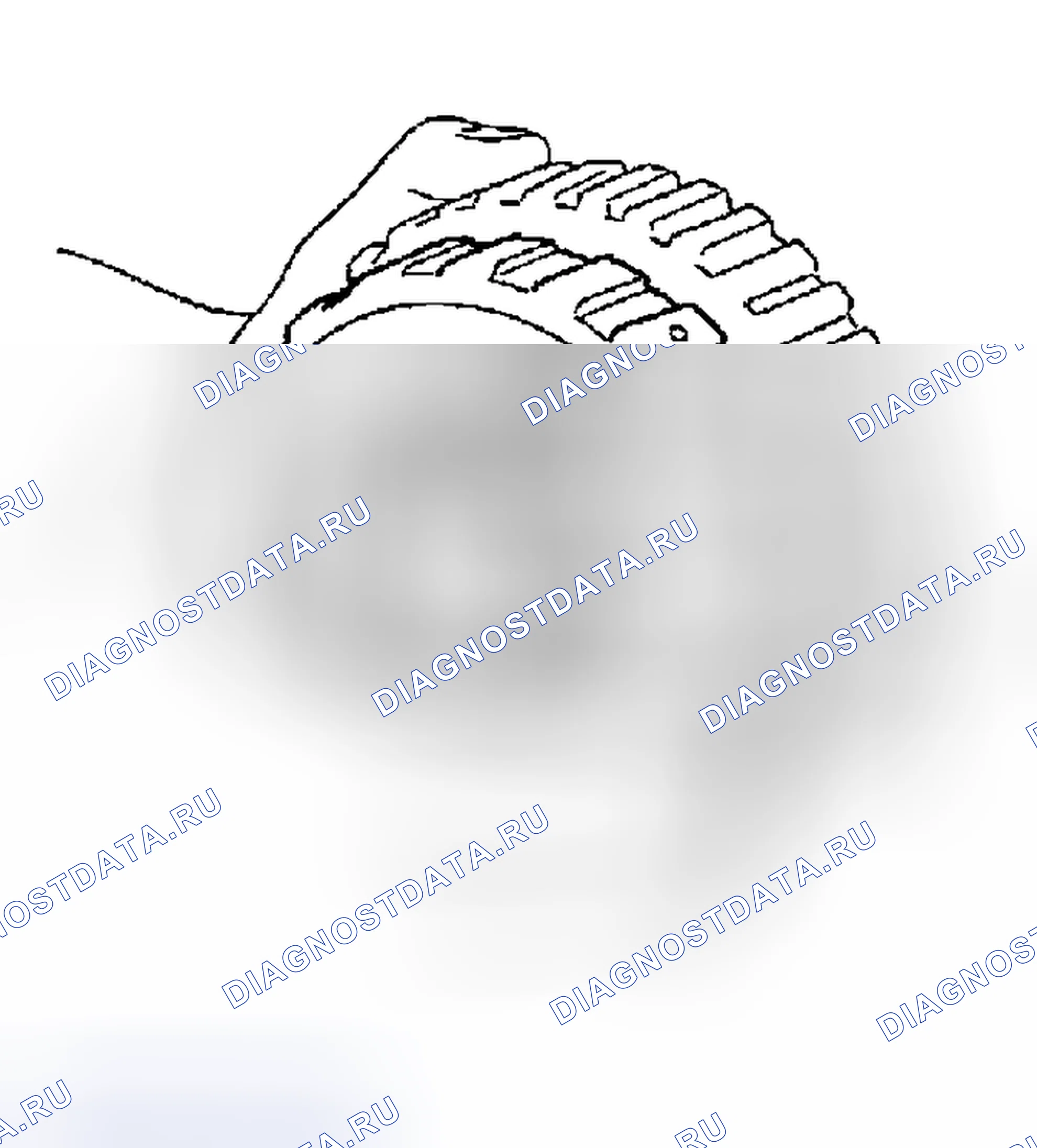 Рис. 1242. Honda Odyssey (North America) I