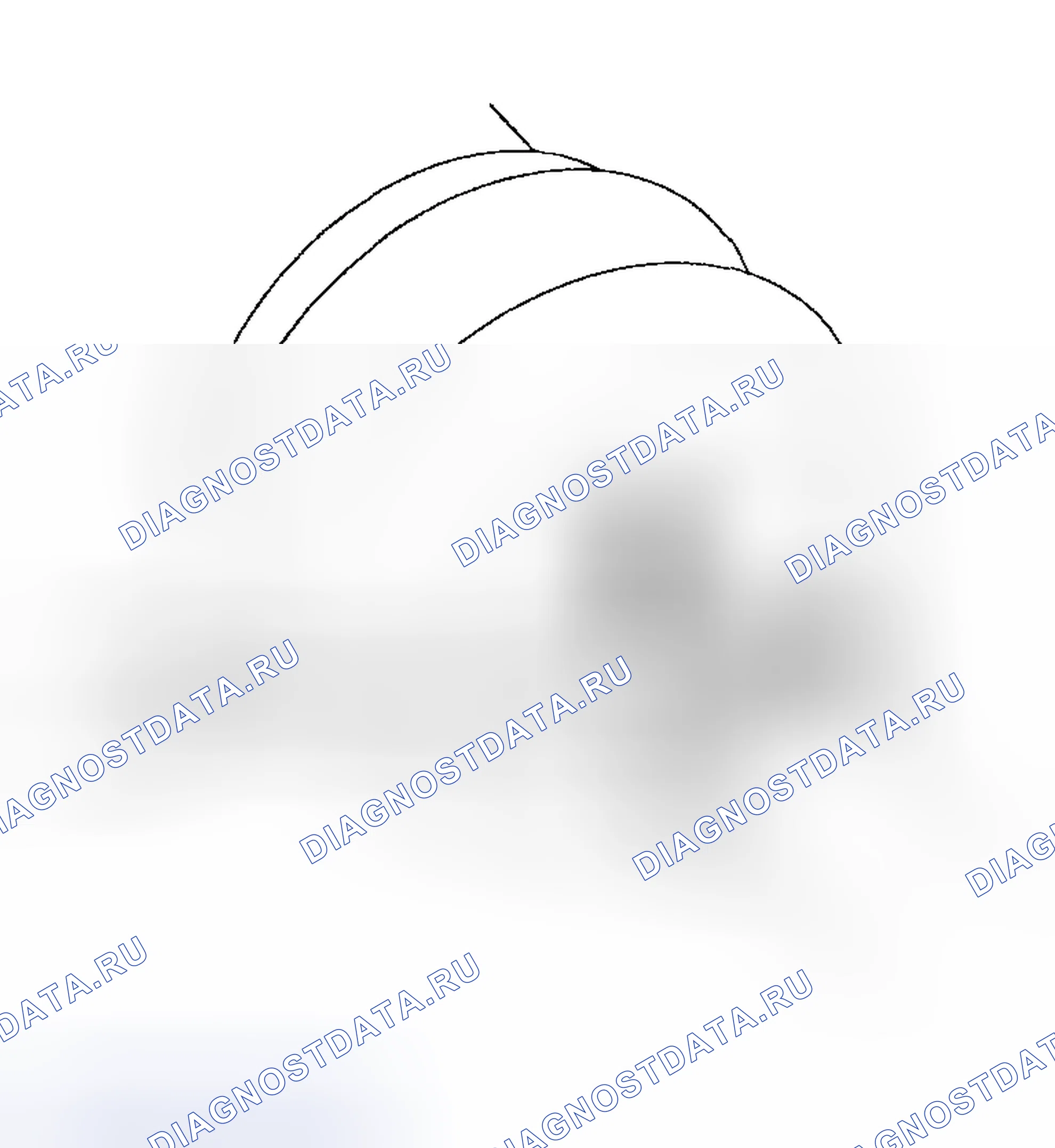 Рис. 27. Haval Chitu I