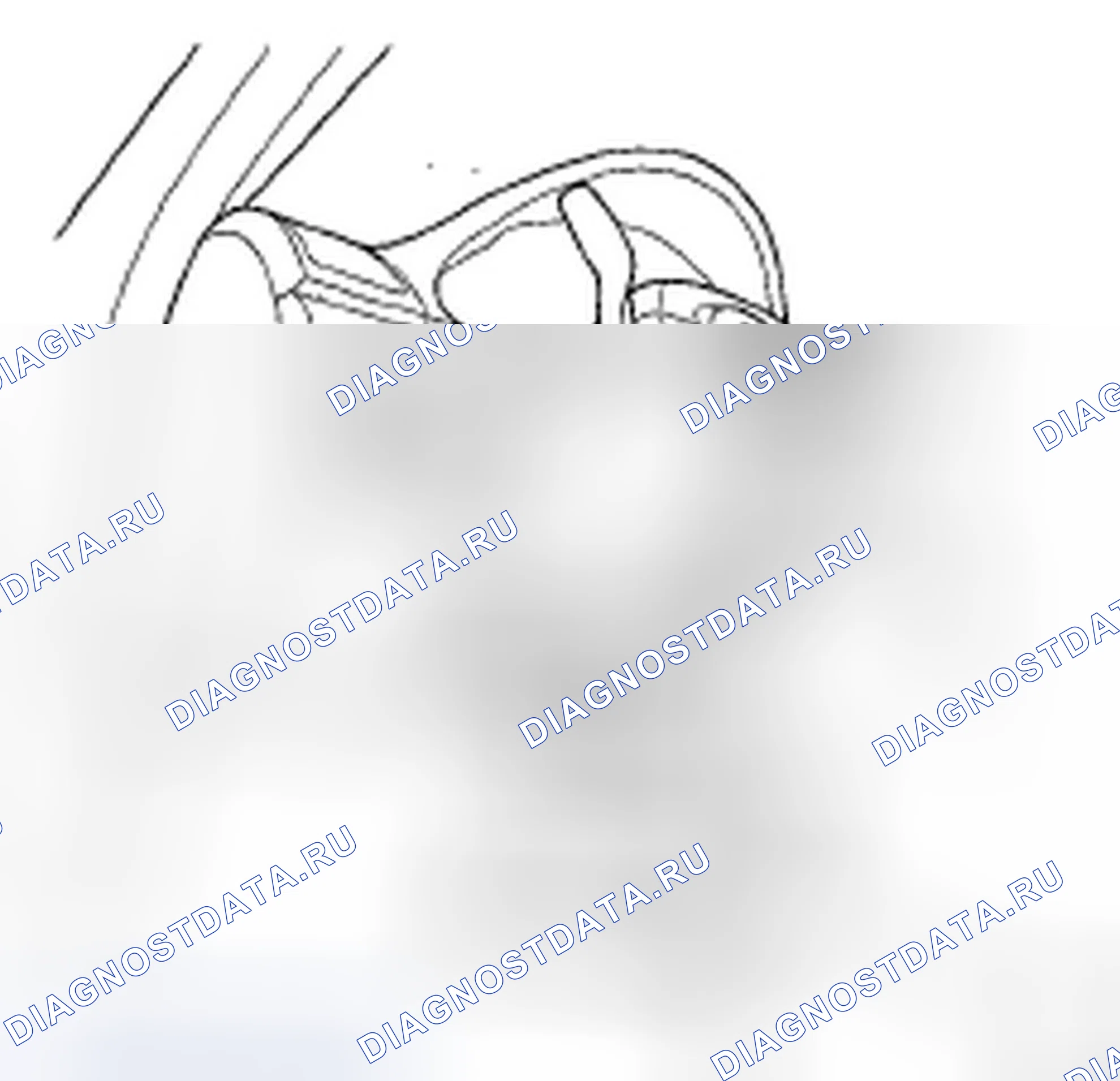 Рис. 333. Acura TSX I