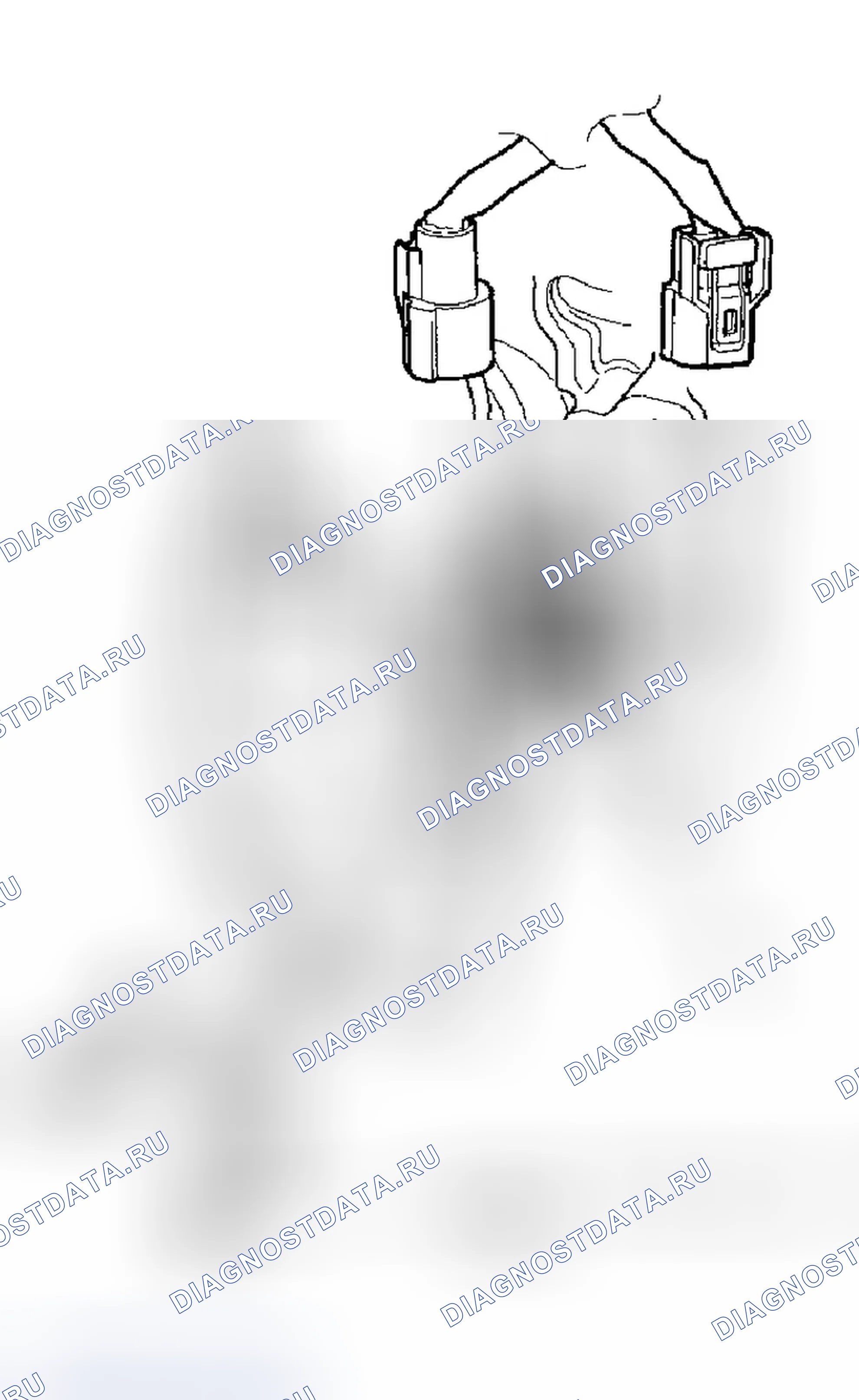 Рис. 208. Honda Element I
