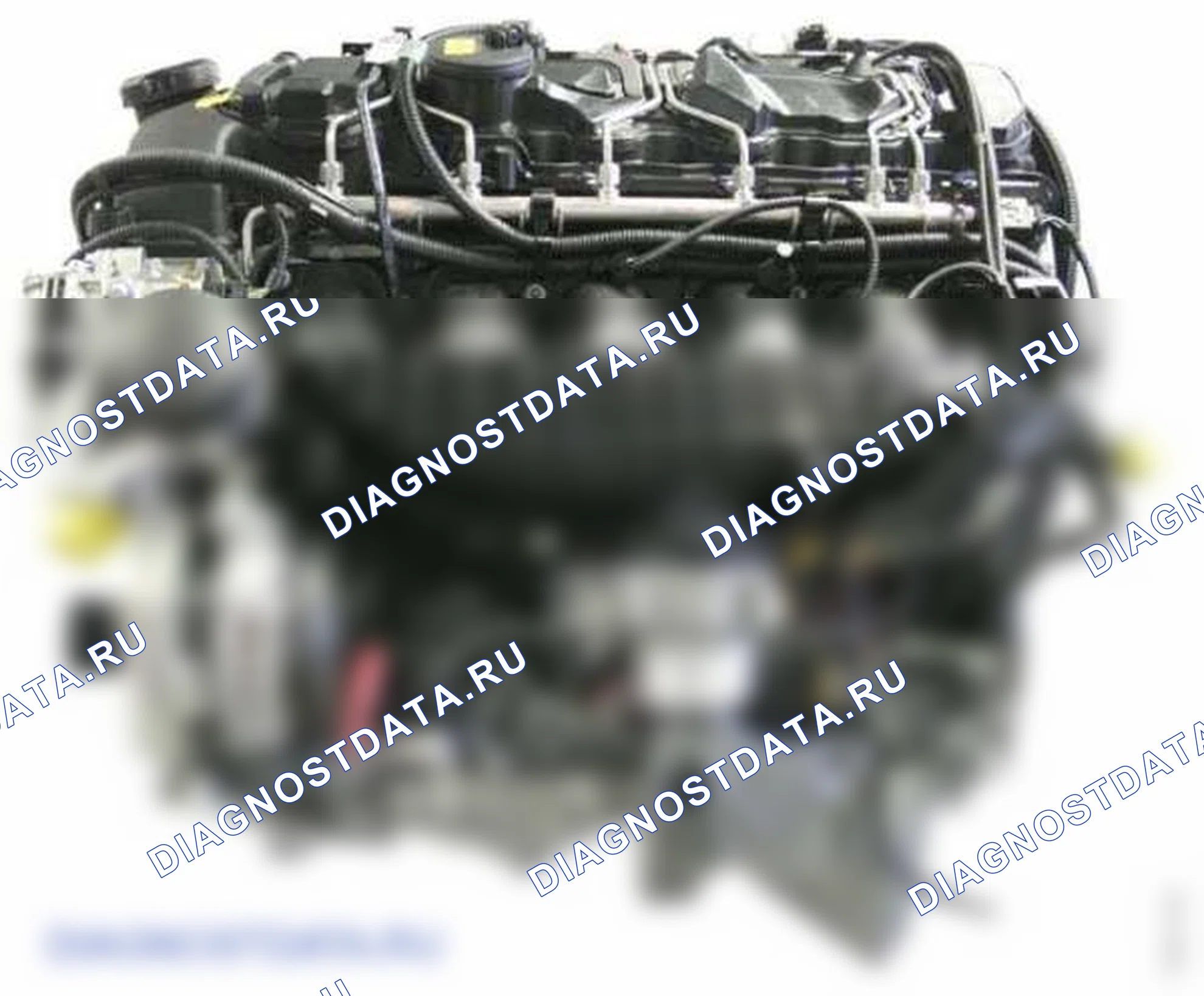 Рис. 59: Прокладка электропроводки двигателя (N55). BMW X3 F25