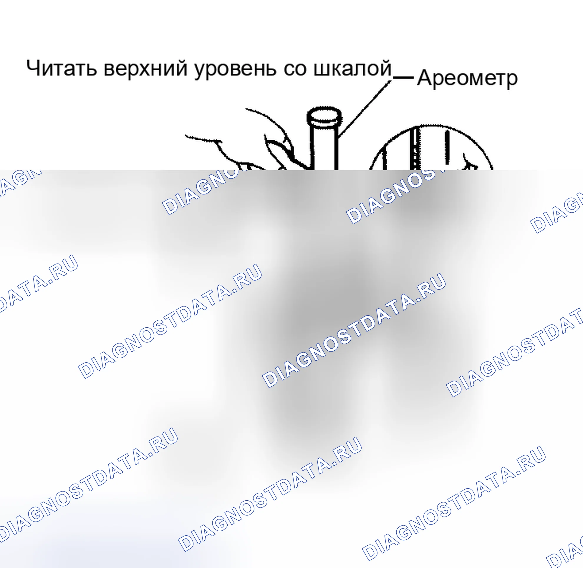 Рис. 47: ПРОВЕРКА УДЕЛЬНОГО ВЕСА. Nissan Altima L31 рестайлинг
