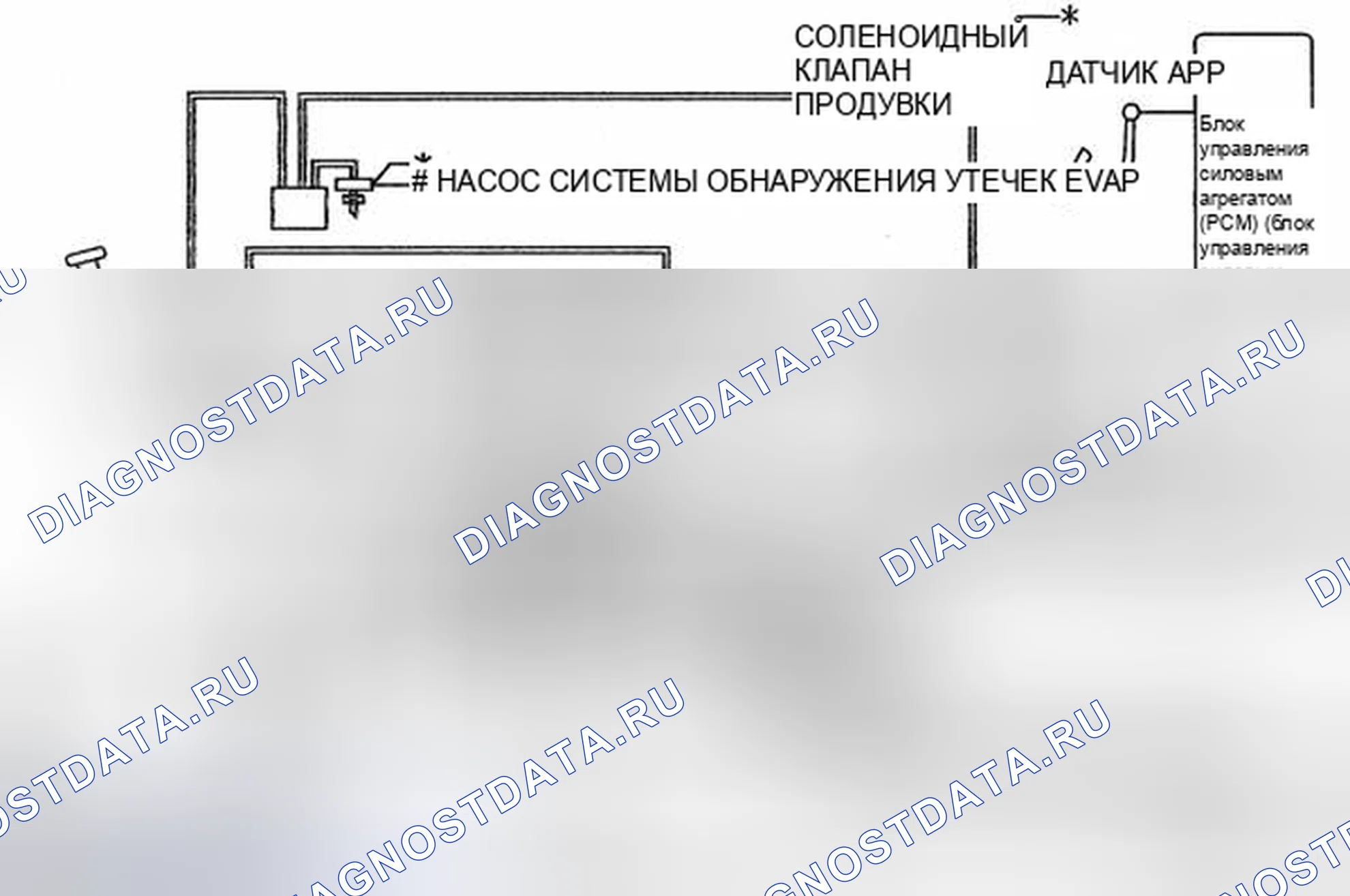 Рис. 46: Применимая модель калифорнийского регулирования выбросов. Mazda 3 BL