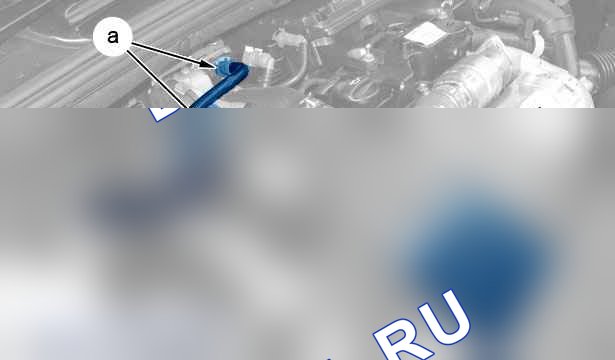Снятие - Установка: ремень ГРМ — b1bg0qbd. Citroen C-Elysee I