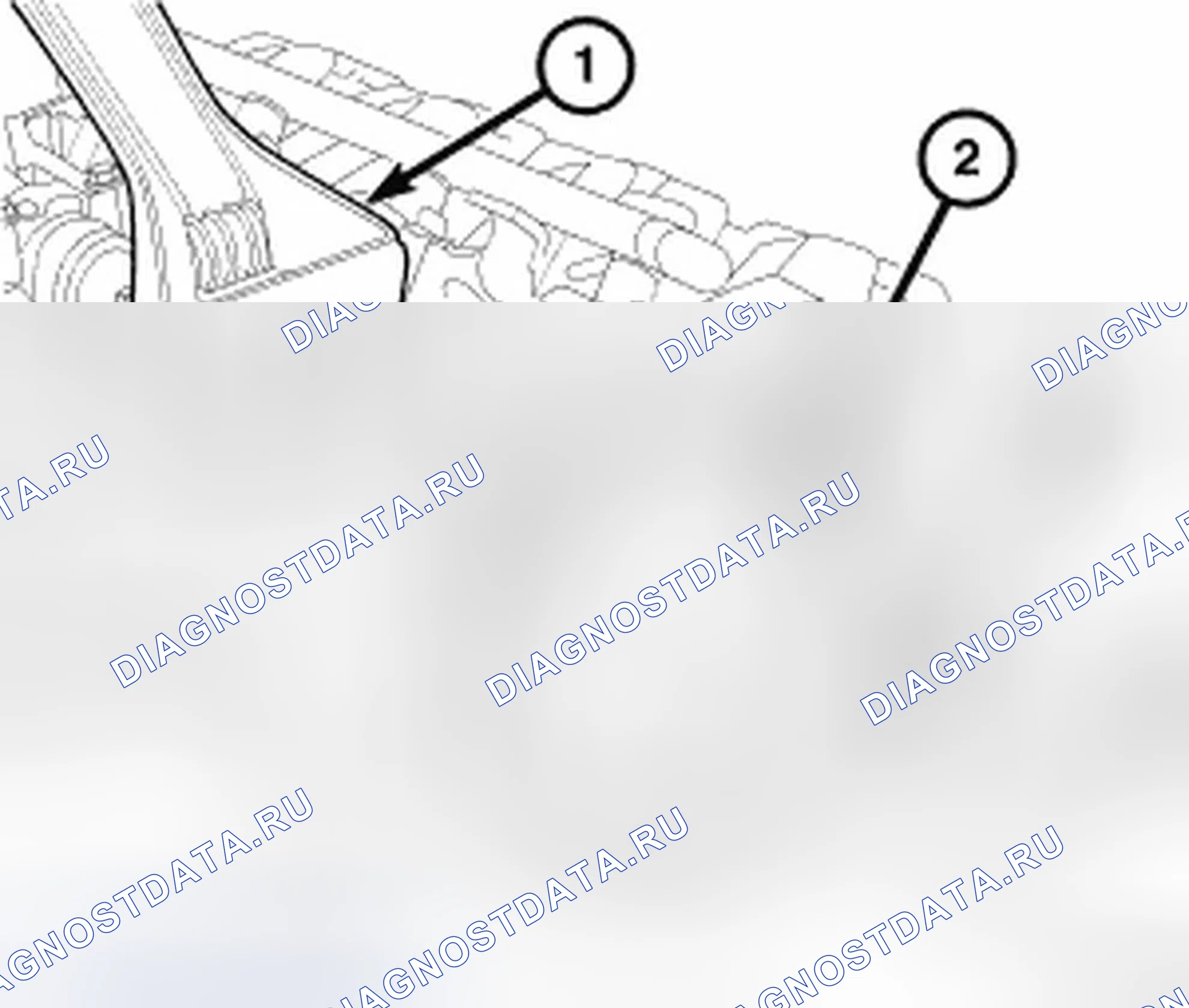 Рис. 329: Звездочка (звездочки) распределительного вала. Jeep Compass I