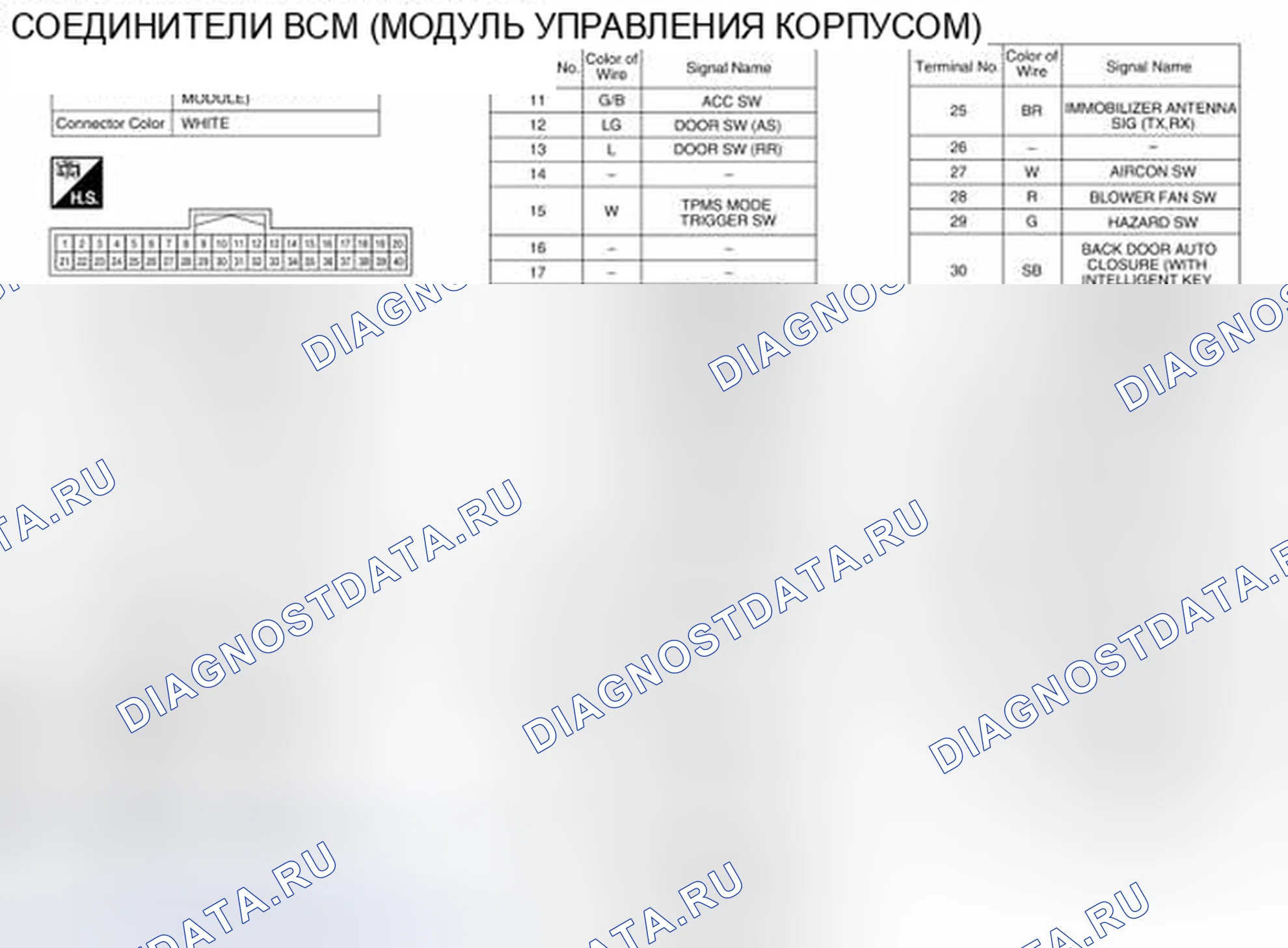 Рис. 74: Идентификация клемм разъема системы управления. Nissan Pathfinder III рестайлинг