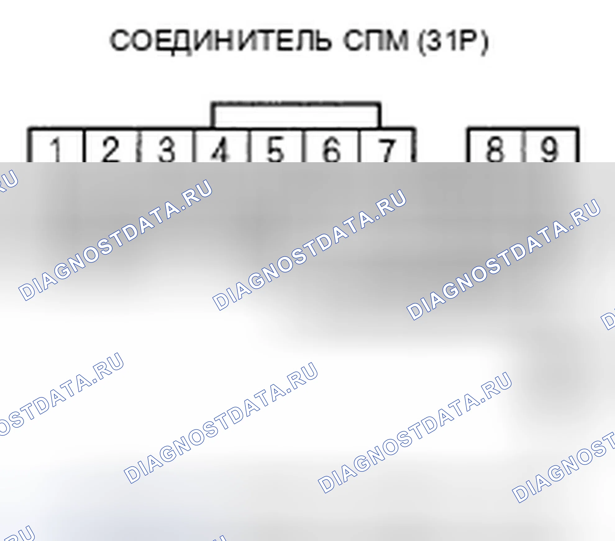 Рис. 924. Honda Accord VII рестайлинг