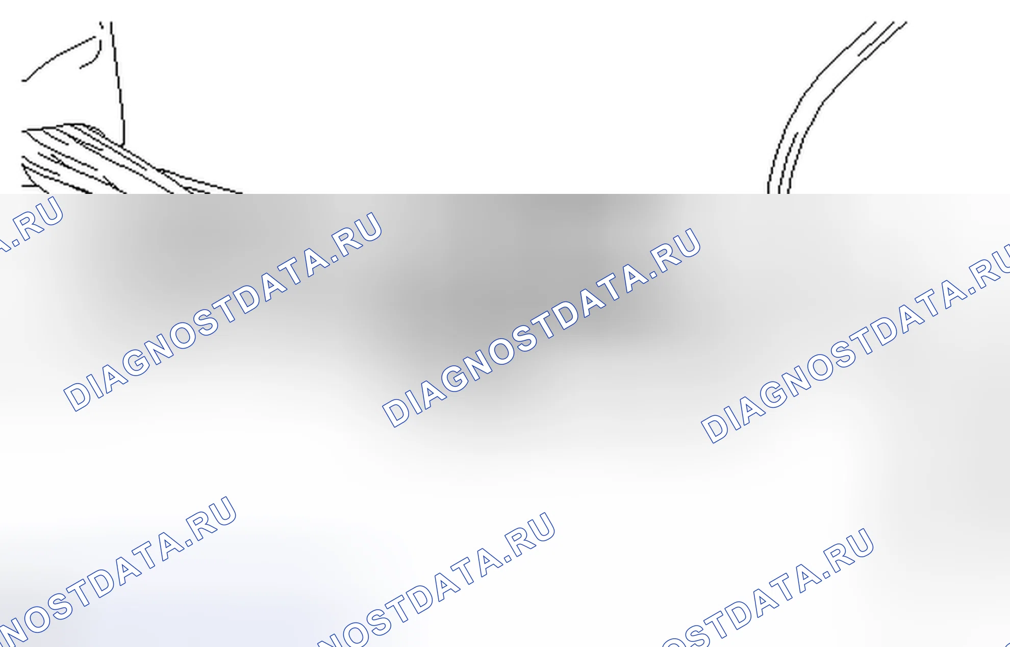 Рис. 58. Honda Accord VII