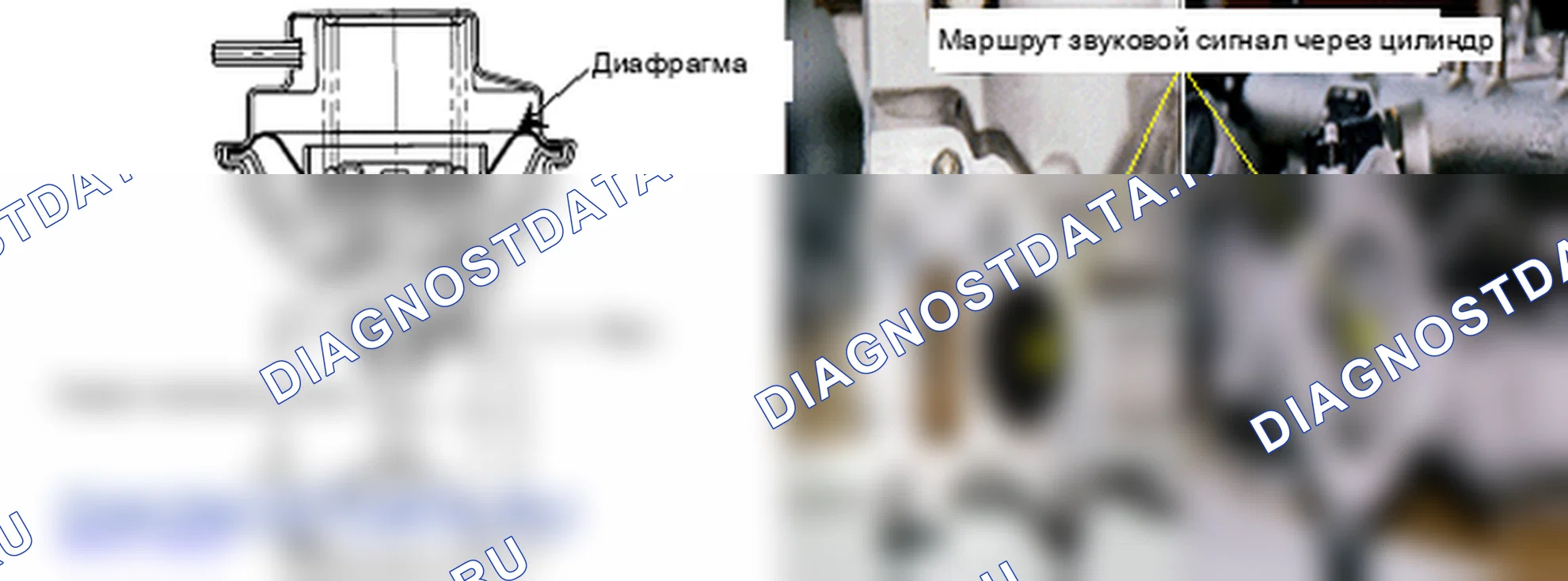P0401: Обнаружен недостаточный поток рециркуляция отработавших газов. Hyundai Accent LC
