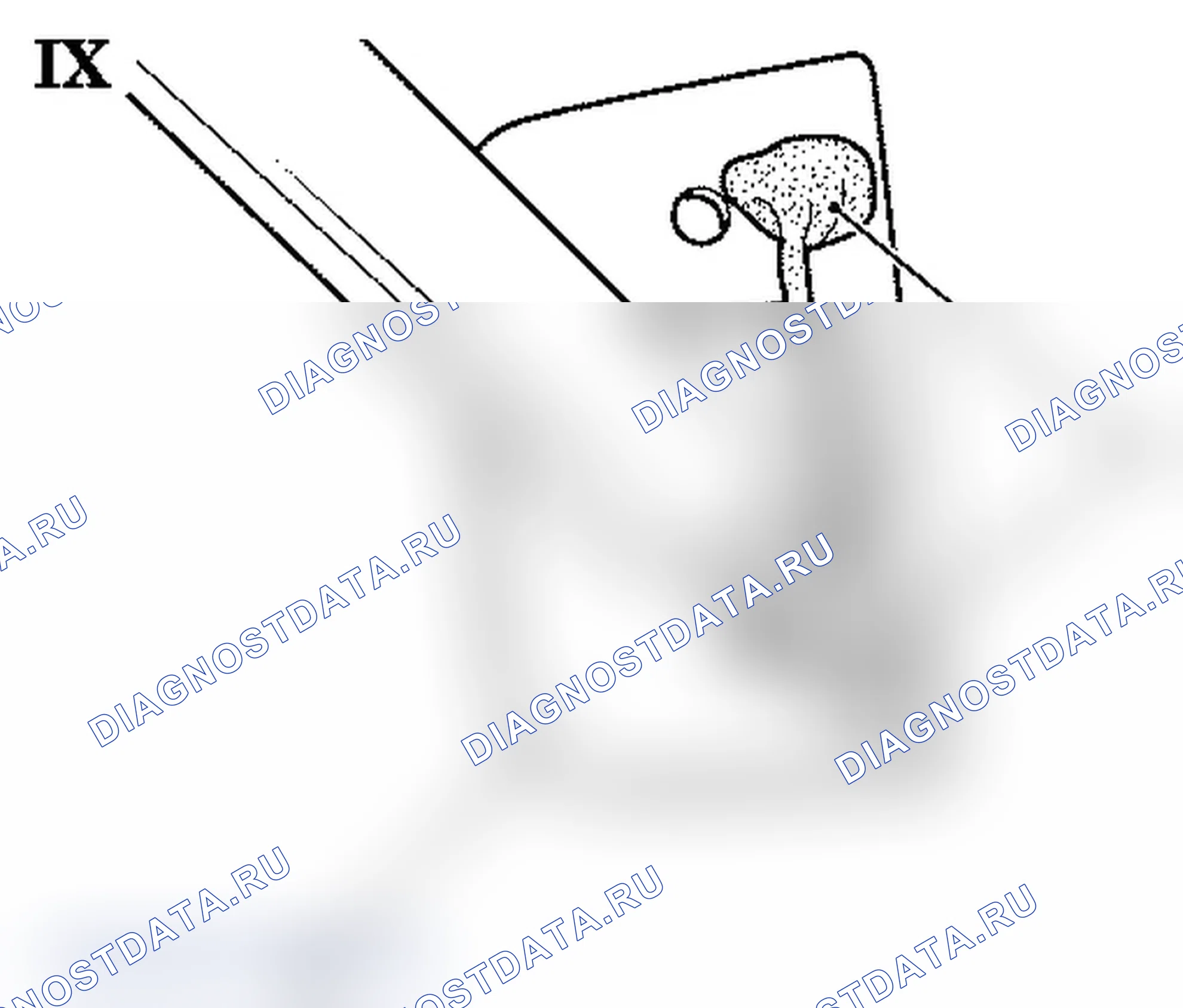Rear door - Cracks in check link area. Opel Zafira A рестайлинг
