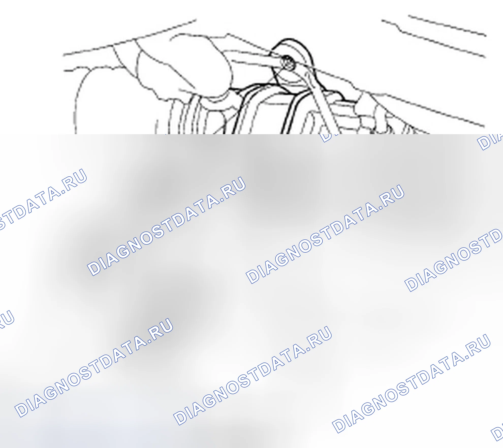 Рис. 49. Honda Element YH2 рестайлинг 2