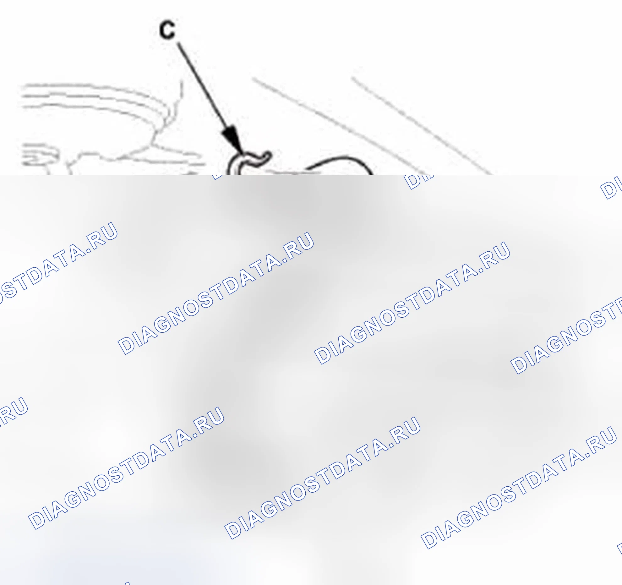 Рис. 286. Honda CR-V IV