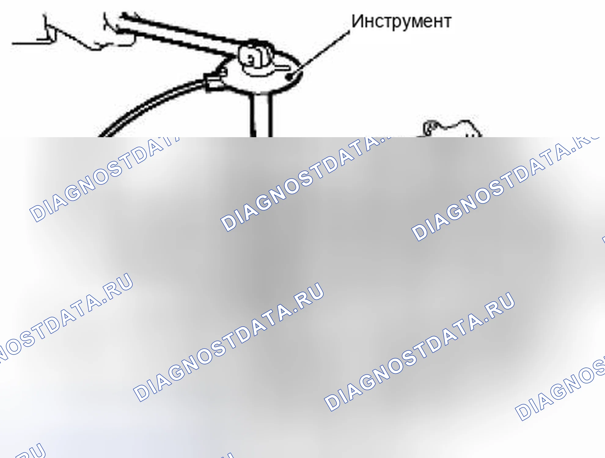 Рис. 365. Suzuki Equator I