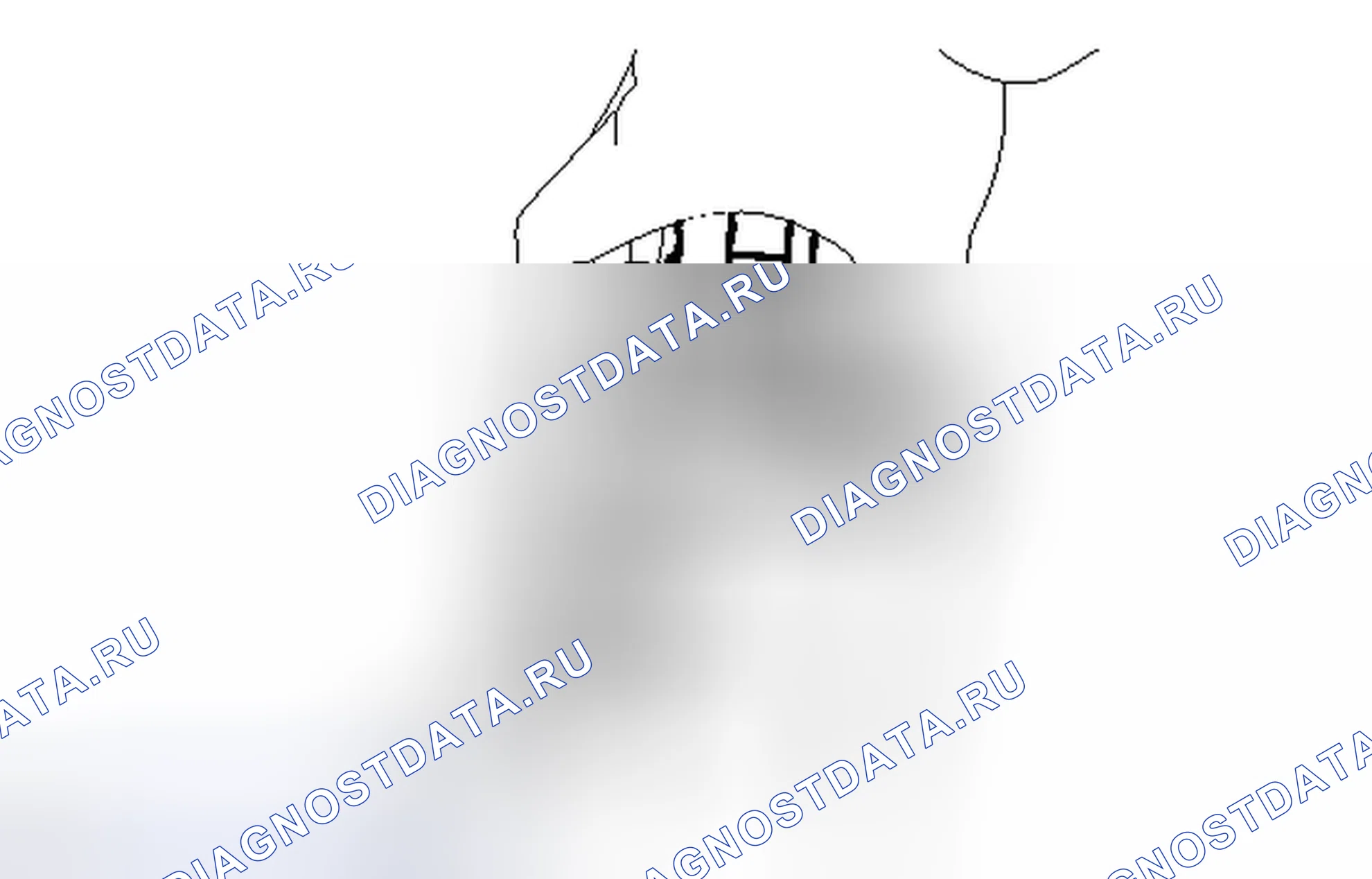 Рис. 13. Toyota Camry XV50
