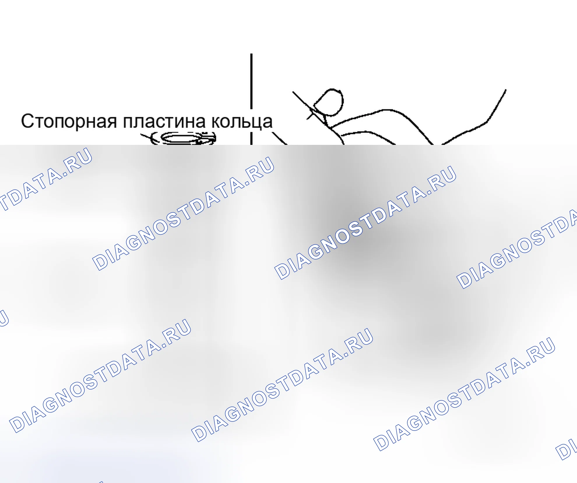 Рис. 80. Honda Street I